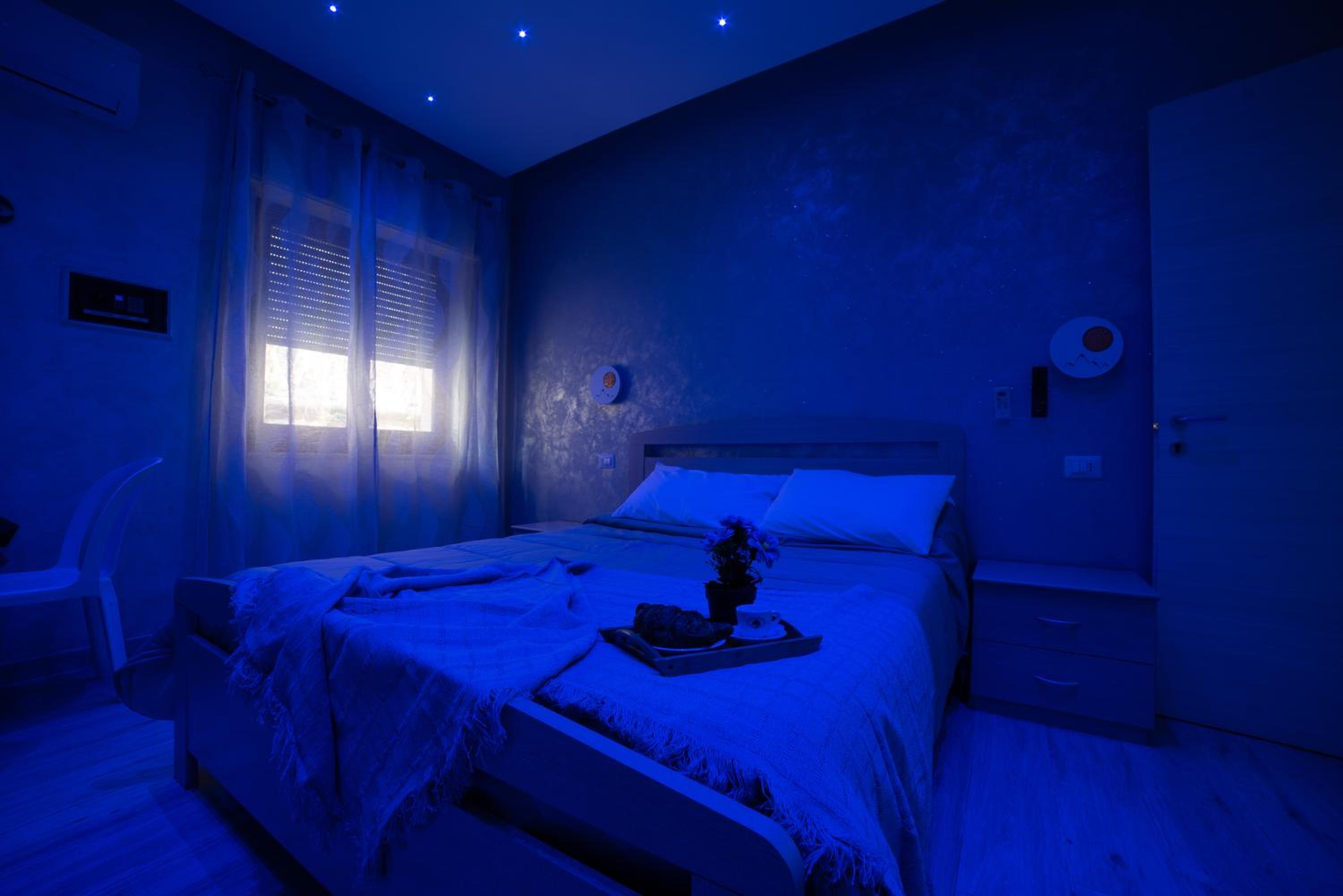 King Room photo 1