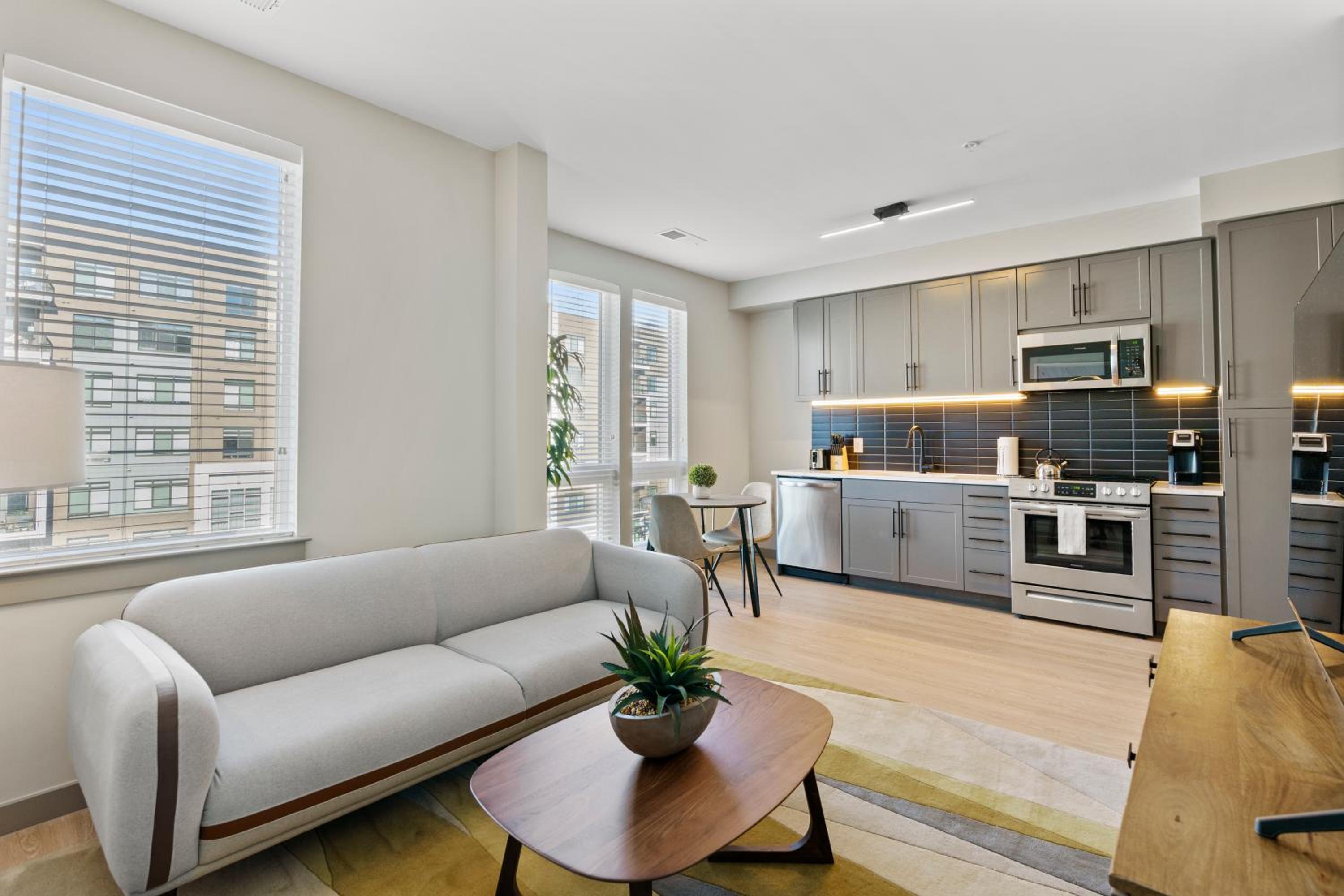 Premium One Bedroom Apartment photo 2