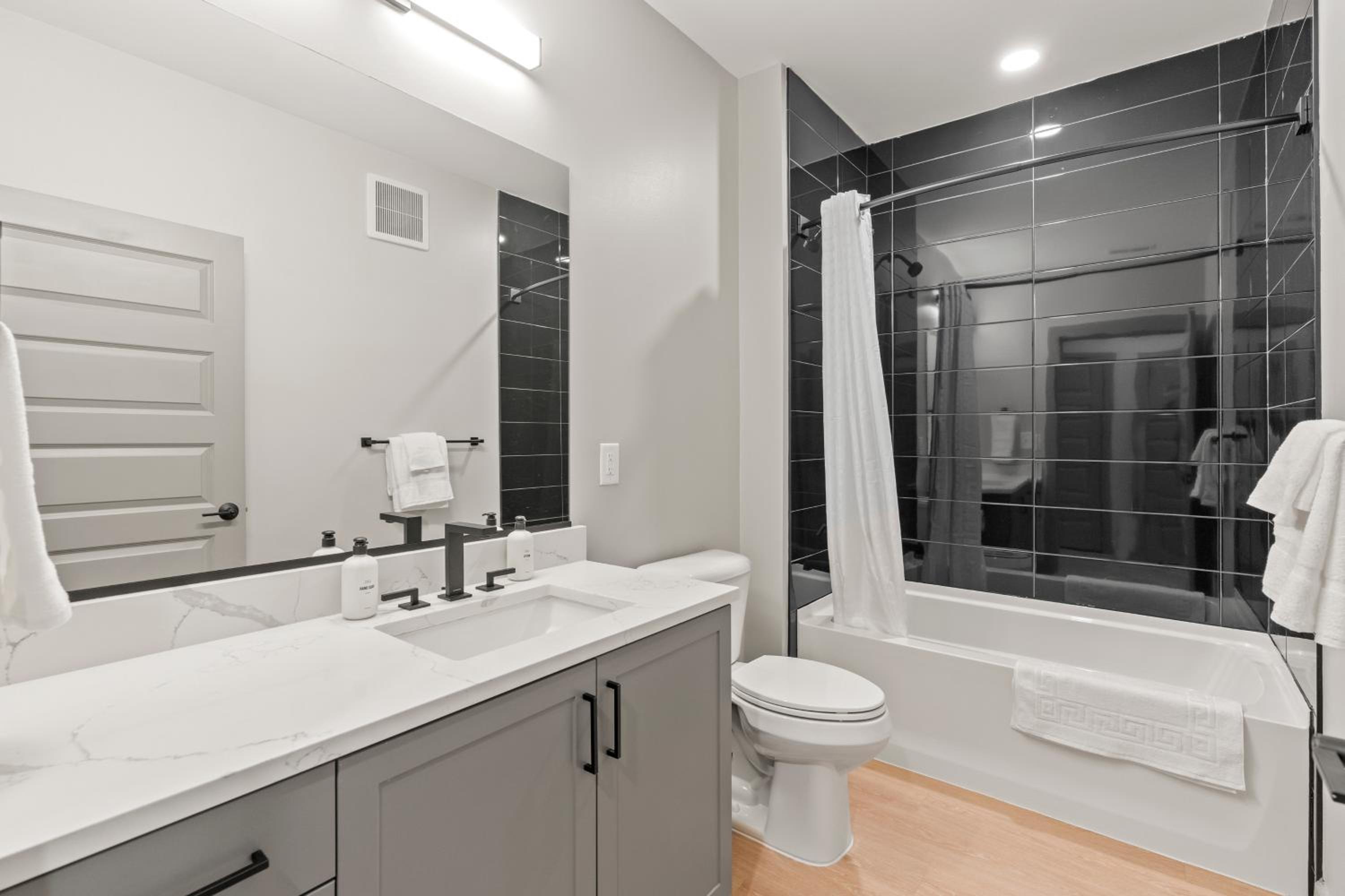 One Bedroom Apartment photo 3