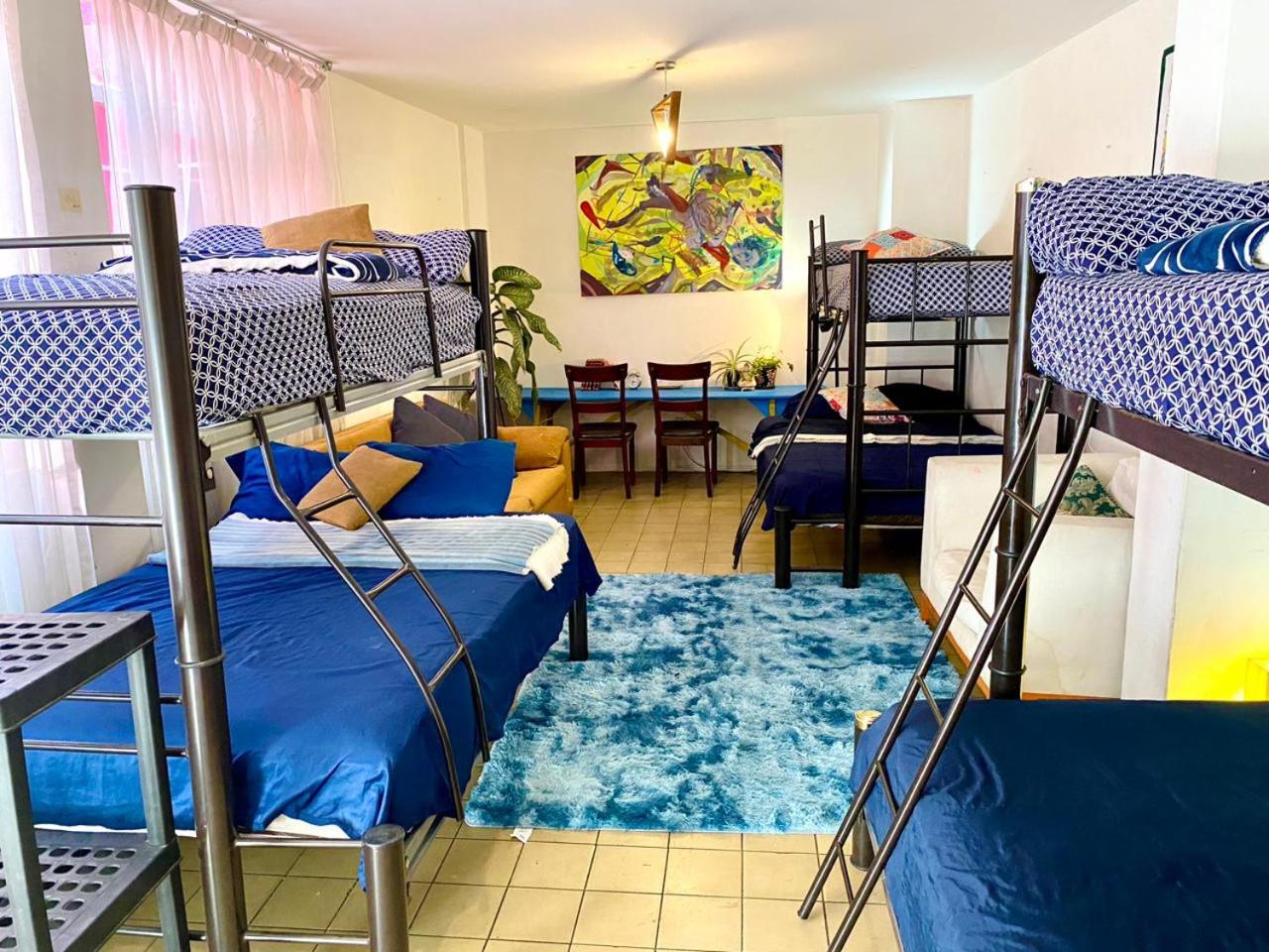 Bed in 6-Bed Mixed Dormitory Room