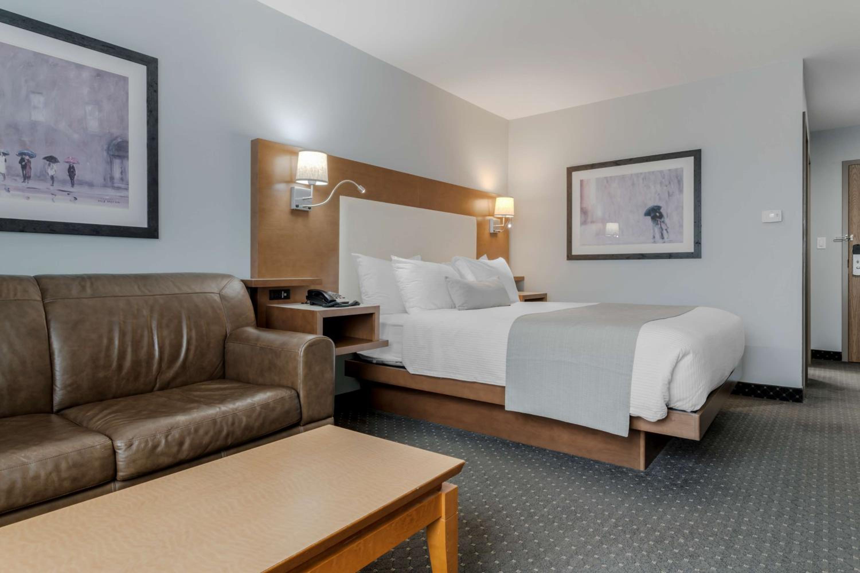 Junior Queen Suite with Sofa Bed
