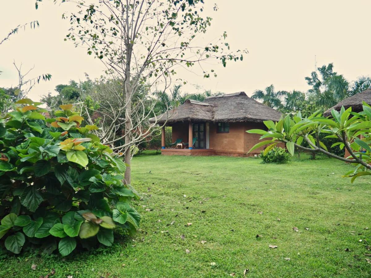 Luxury Cottage - Photo 9