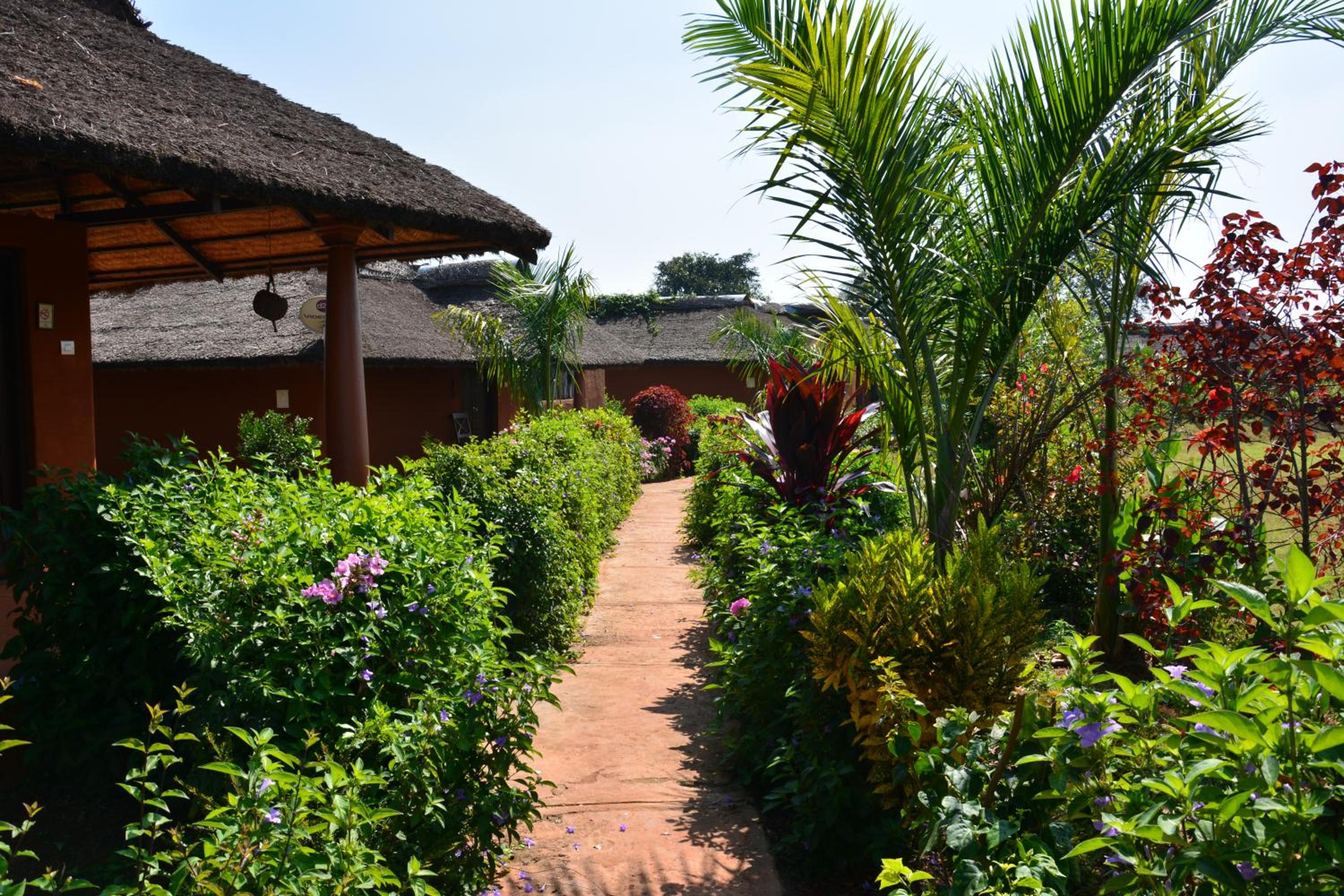 Luxury Cottage - Photo 6