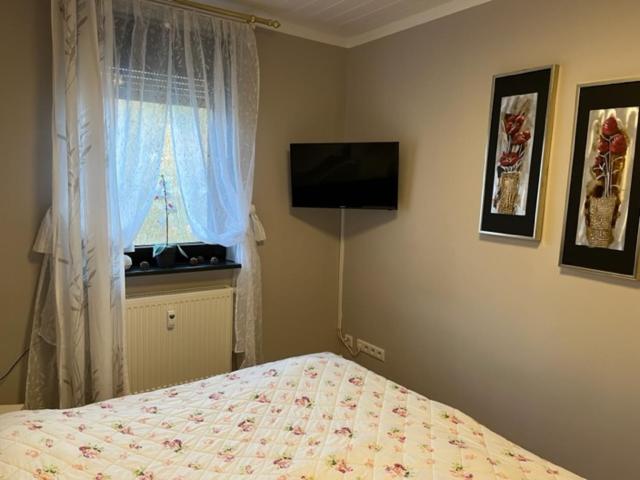 Apartment with Terrace photo 3
