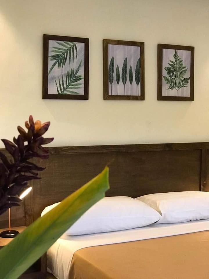 Double Room with Garden View photo 1