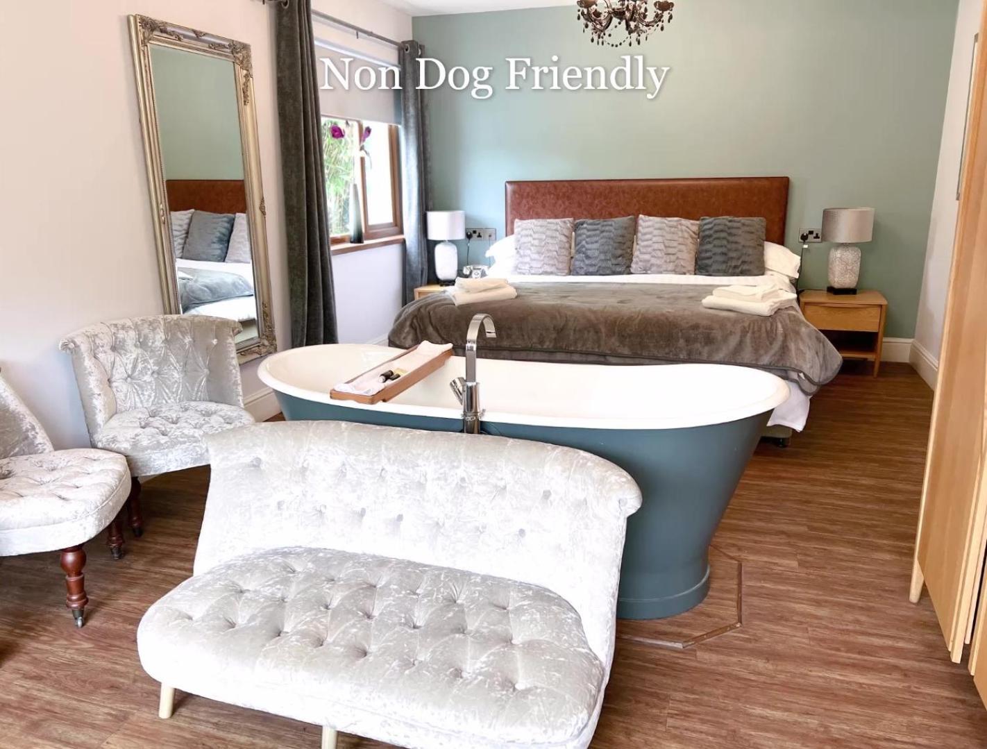 Superior Double Room - No Pets Allowed photo 1