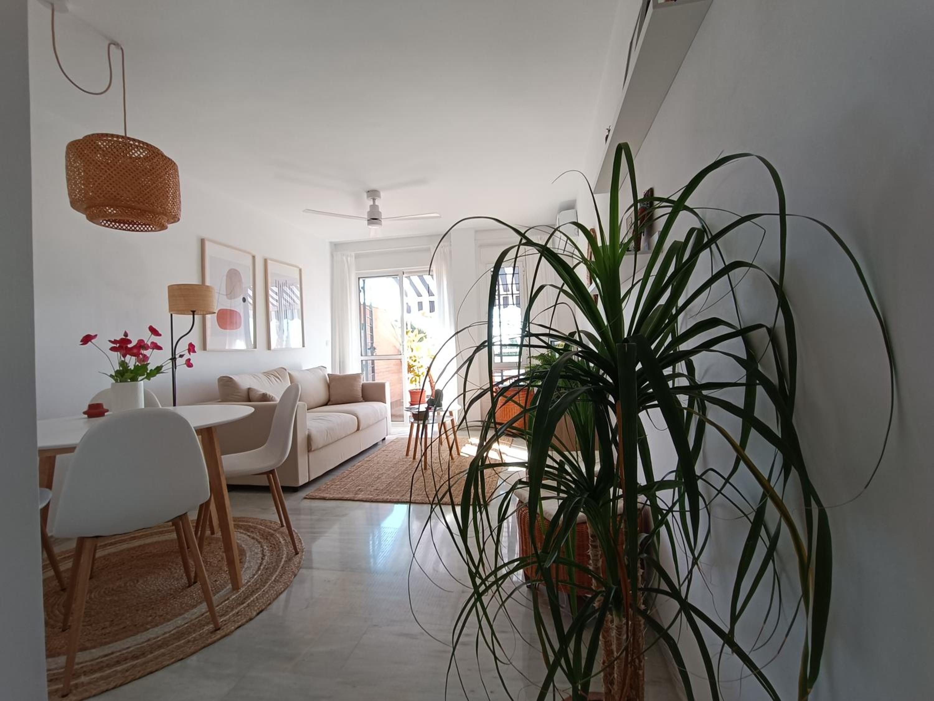 One-Bedroom Apartment photo 3