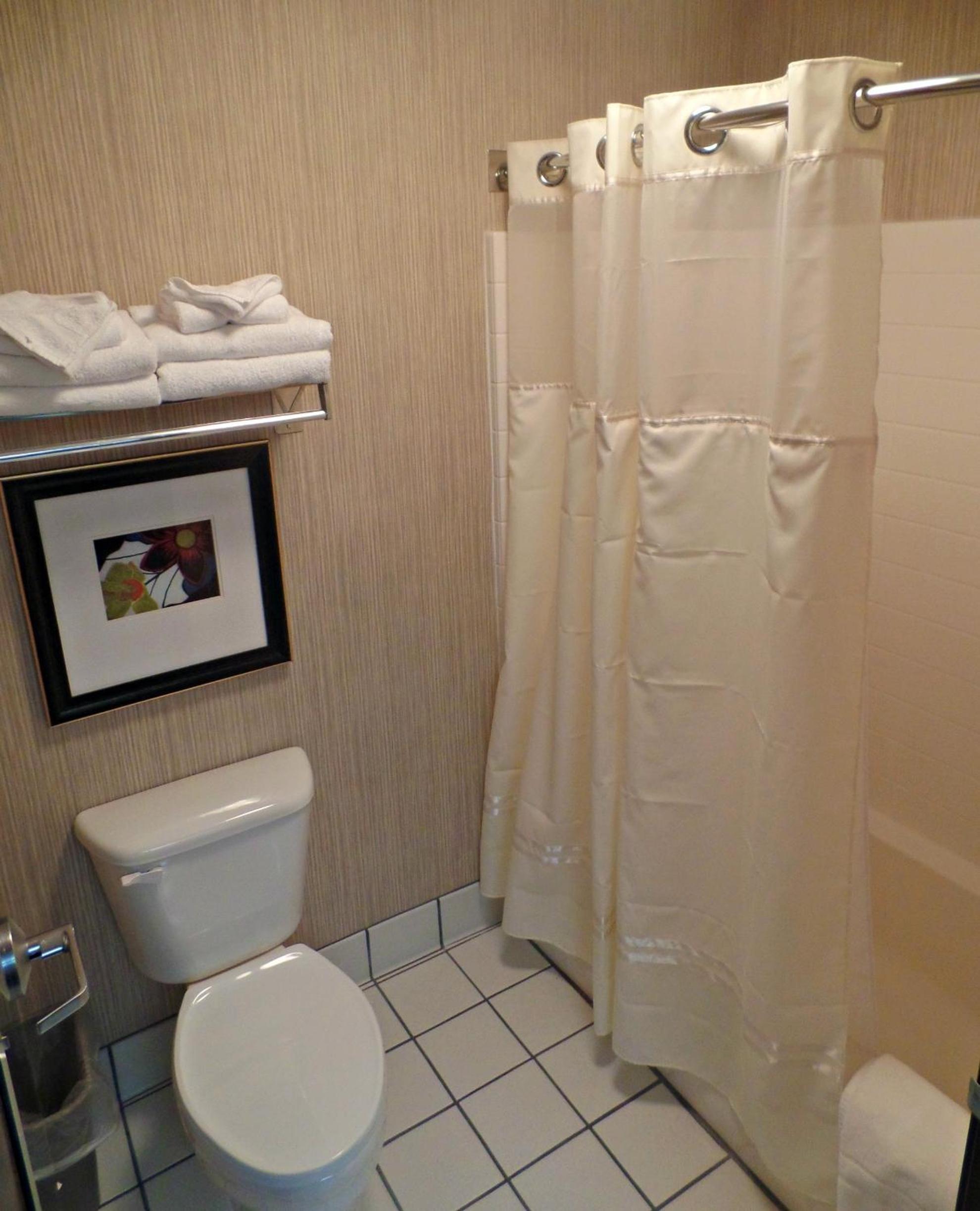 King Suite - Photo 6