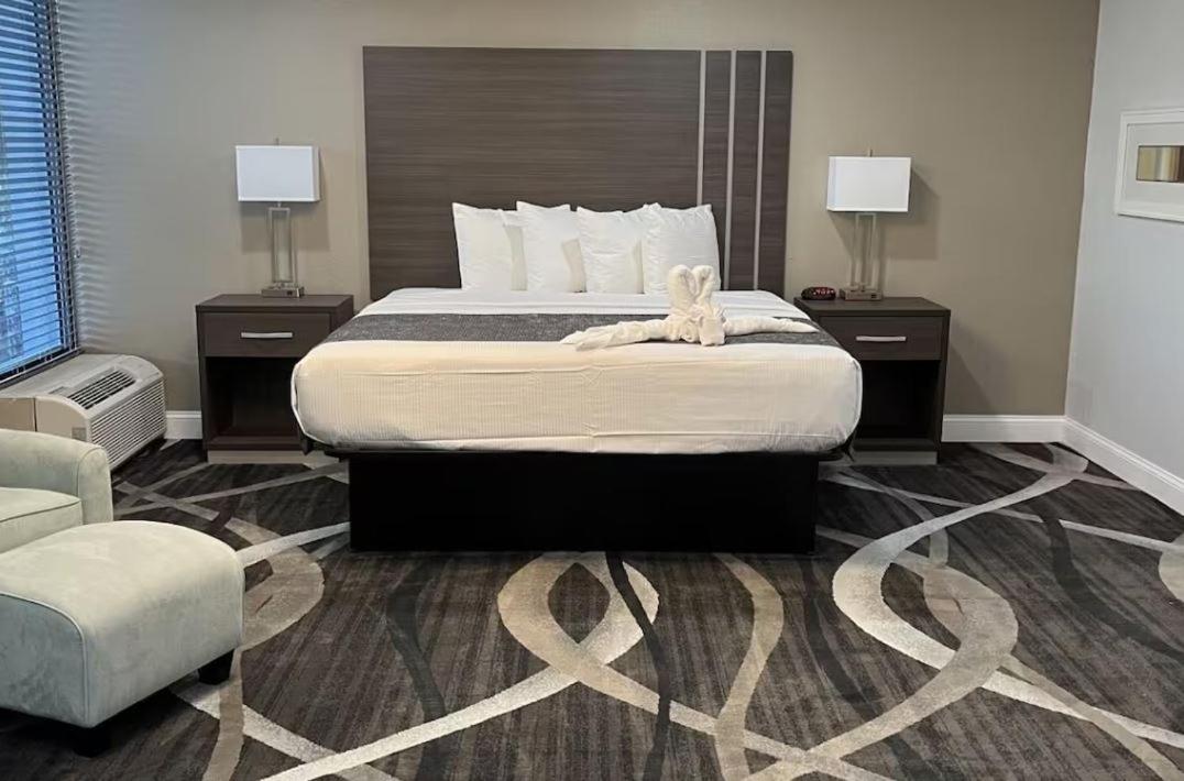Suite with Pool View
