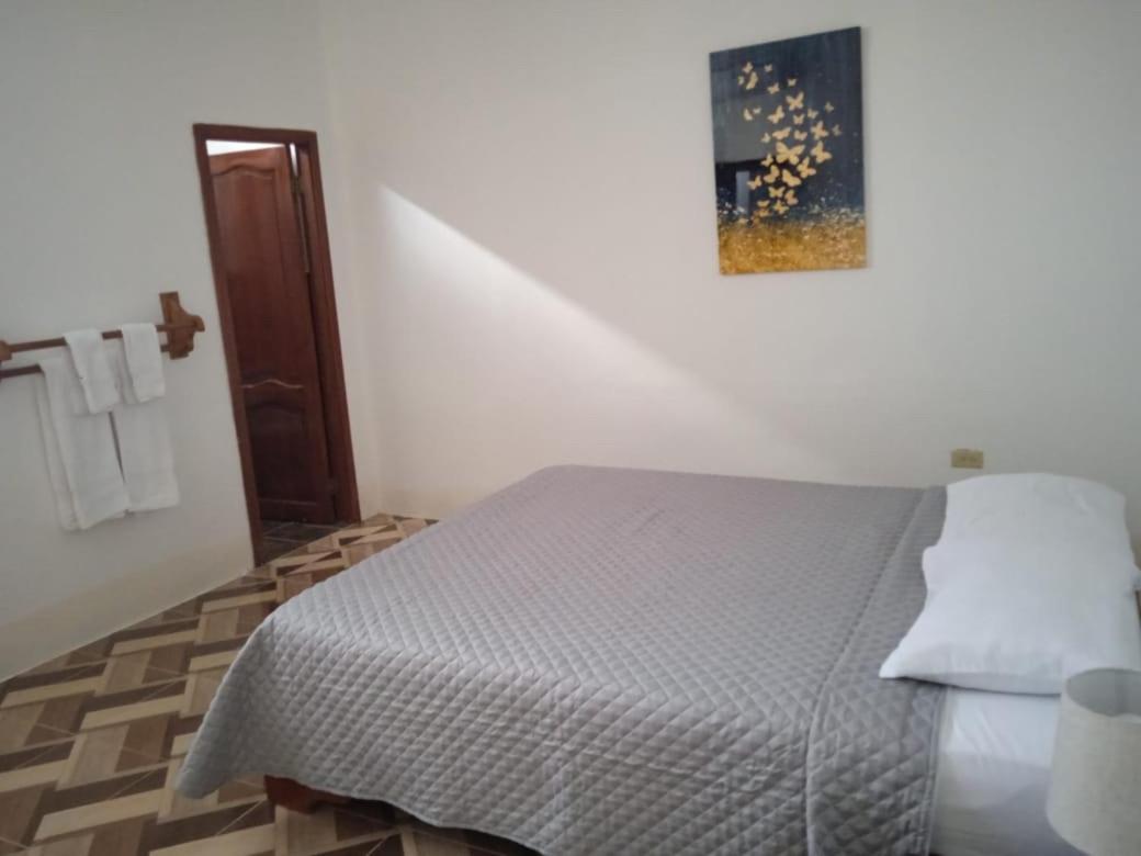 Apartment - Ground Floor photo 3