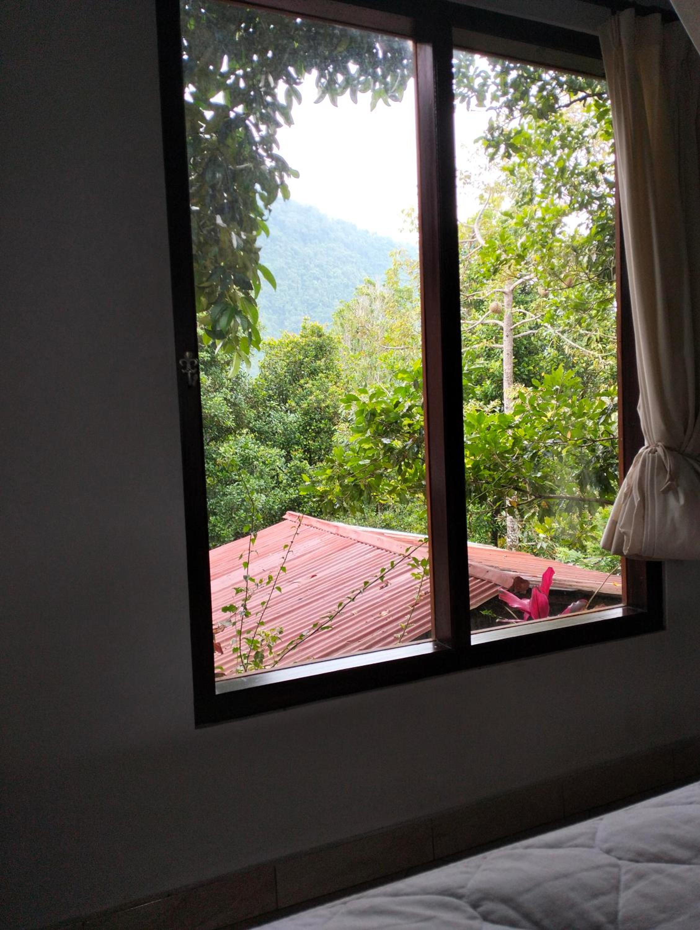 Double Room - Photo 15