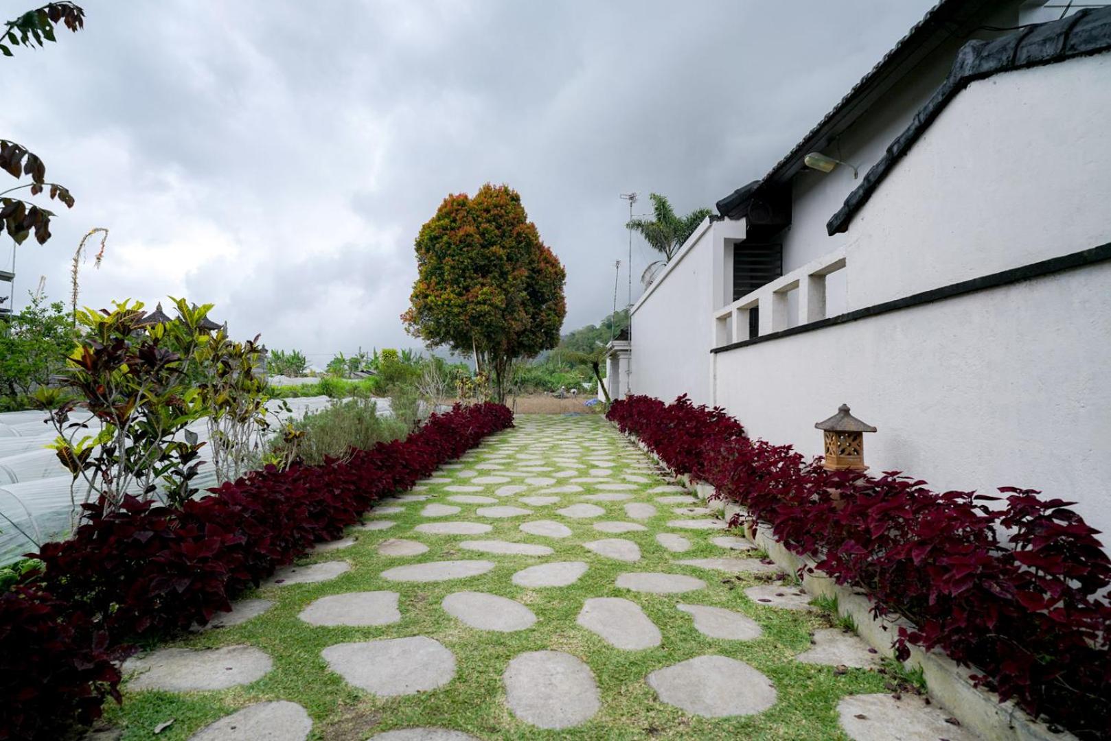 Two-Bedroom Villa - Photo 3