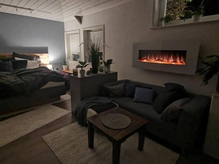 One-Bedroom Apartment photo 3
