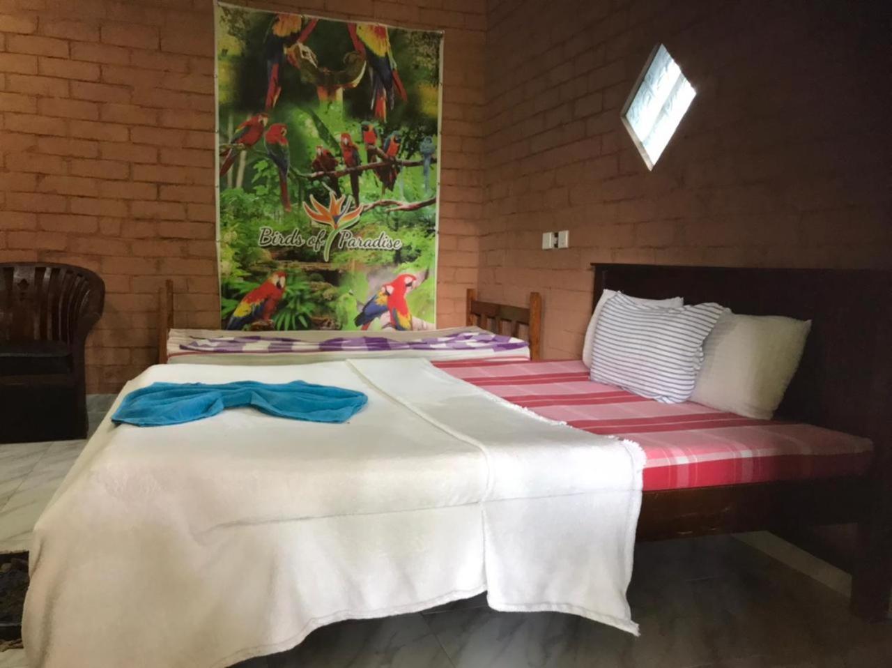 Standard Triple Room photo 2