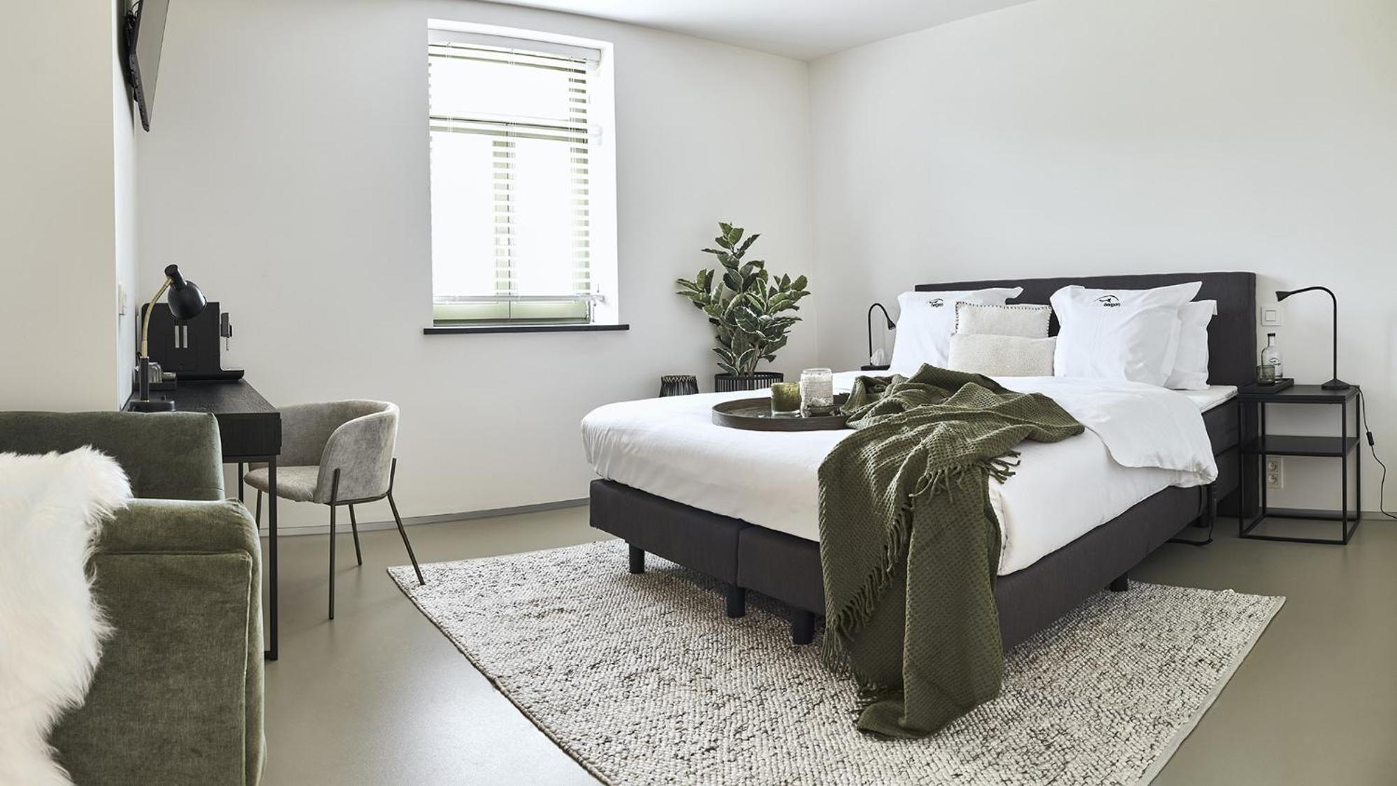 Deluxe Double Room with Bath photo 1