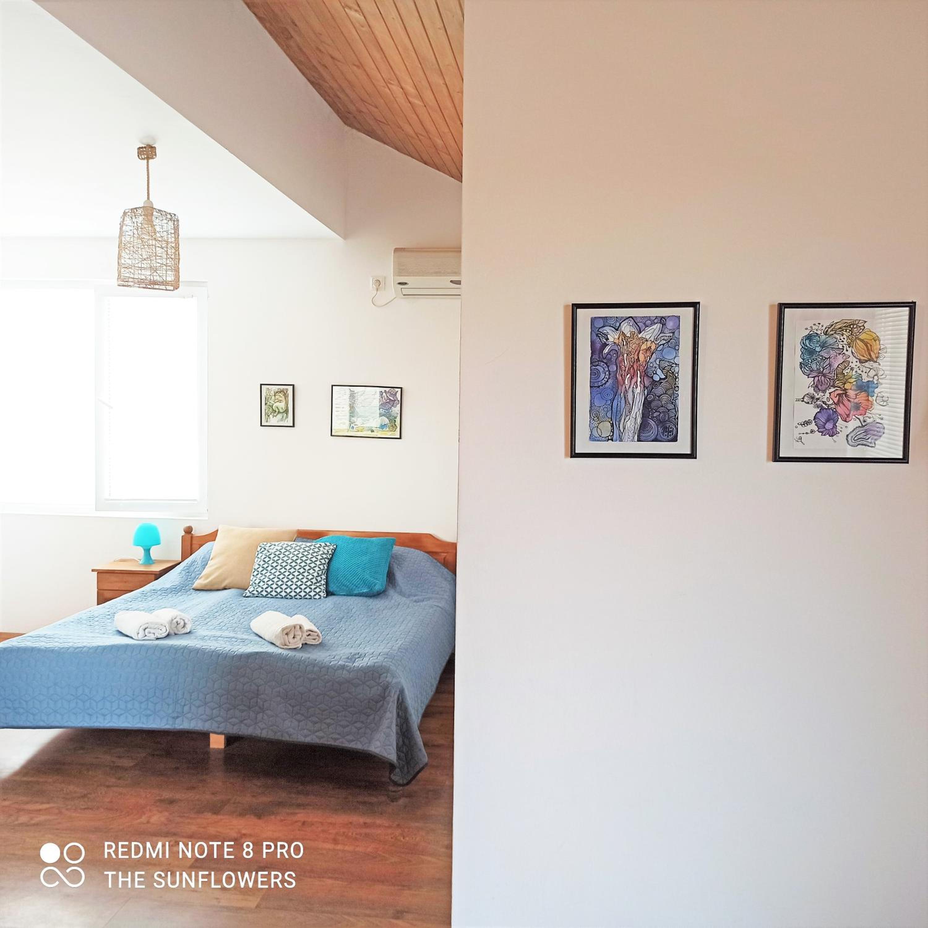 Studio with Terrace photo 2