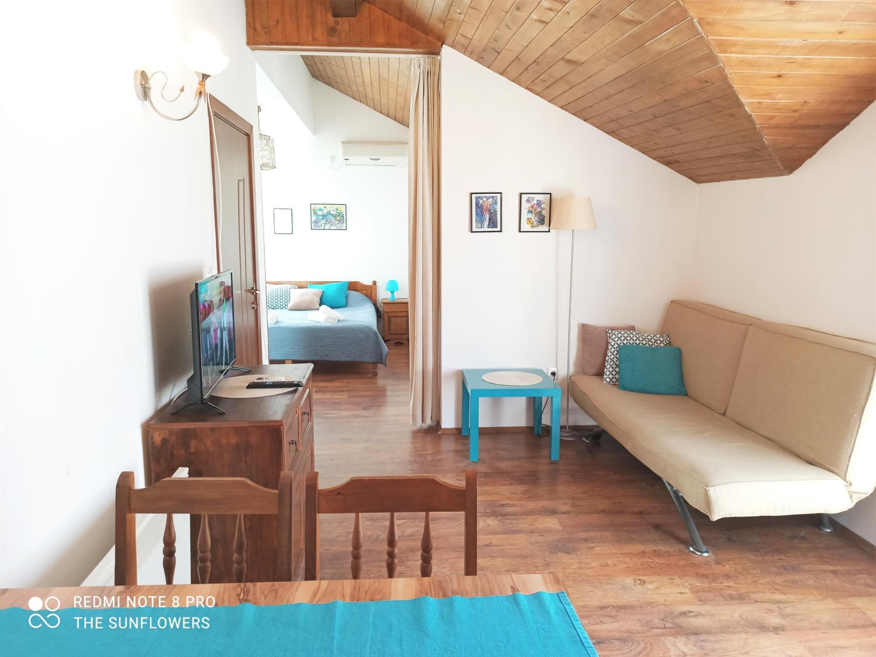 Studio with Terrace photo 3