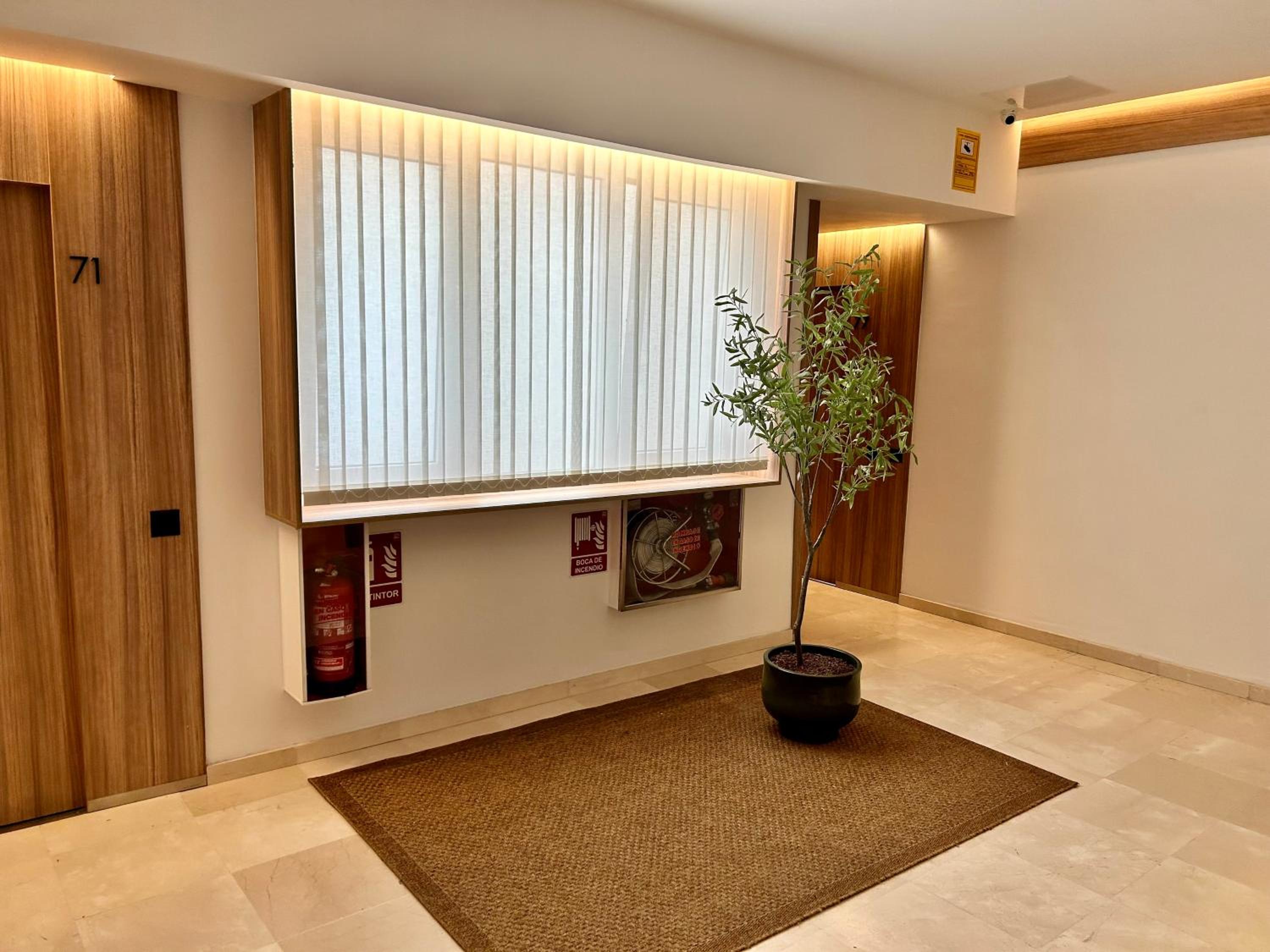 Superior One-Bedroom Apartment photo 3