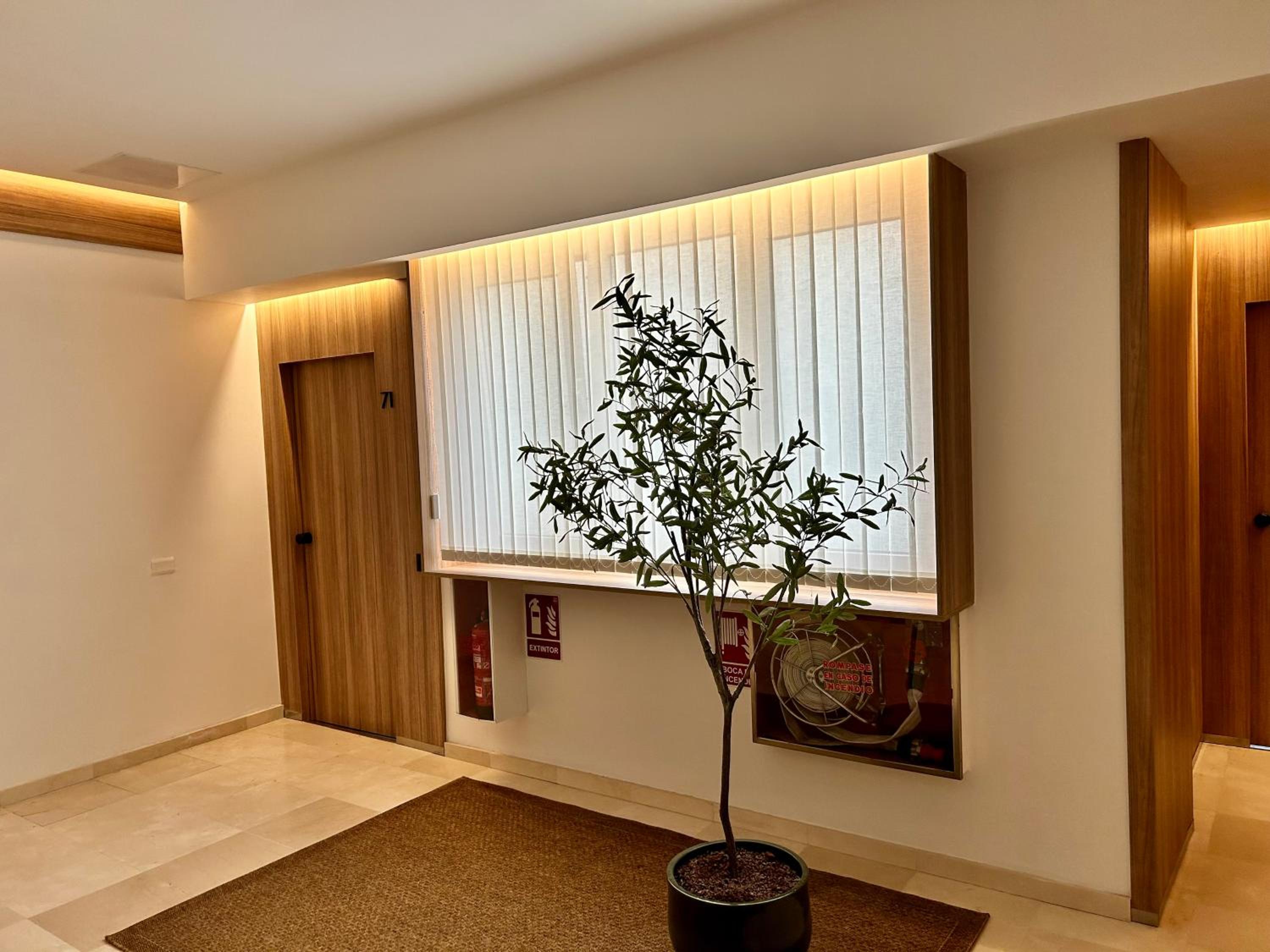 Apartamento de una habitación - Penthouse
