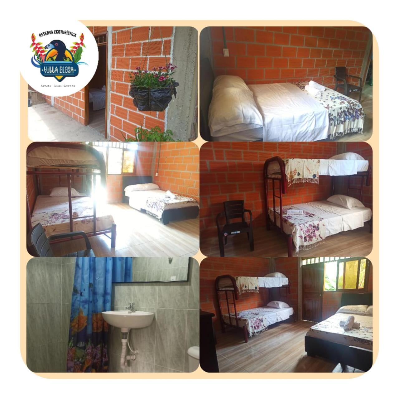 Family Room With Private Bathroom photo 1