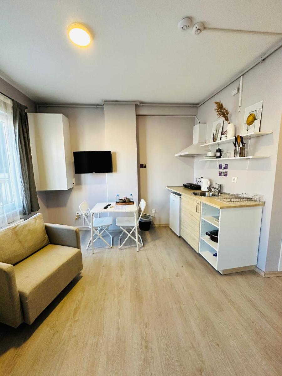 Studio Apartment photo 3