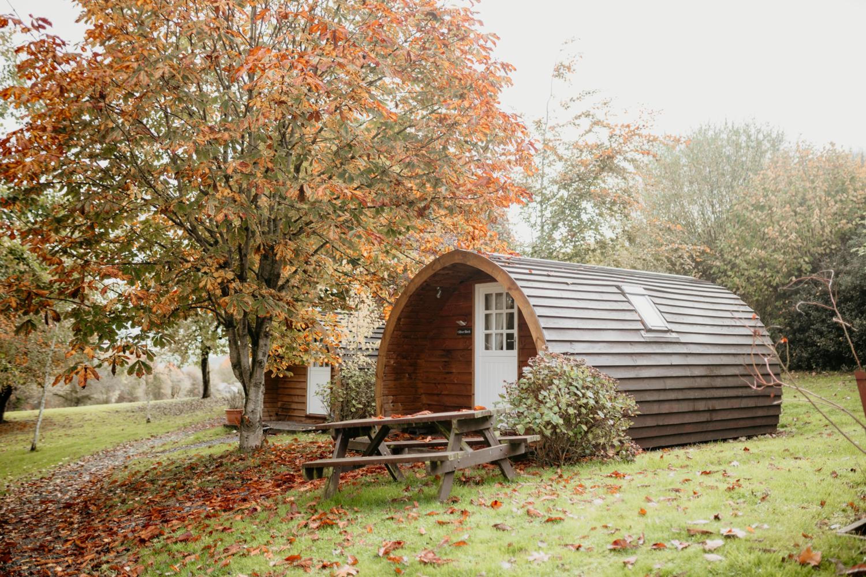 Willow Glamping Pod with Private Hot Tub - Photo 12