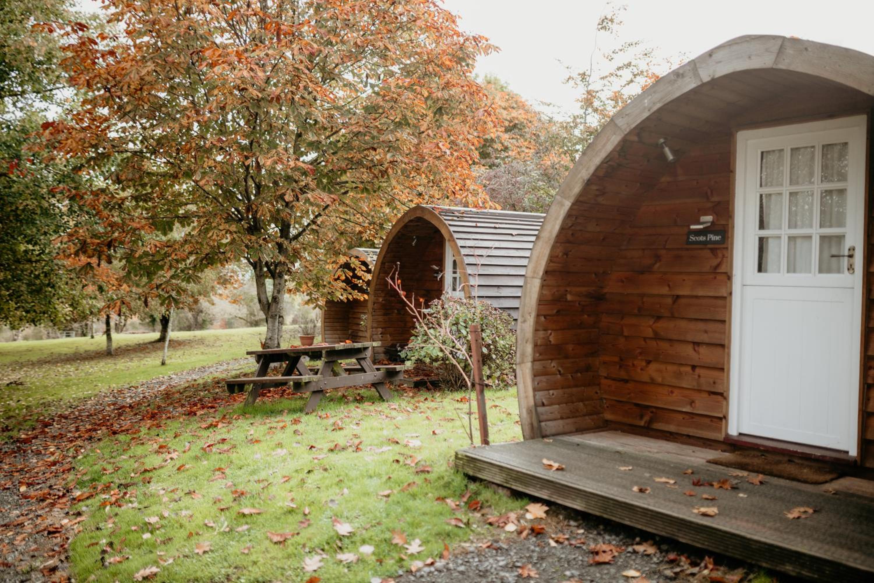 Willow Glamping Pod with Private Hot Tub - Photo 10