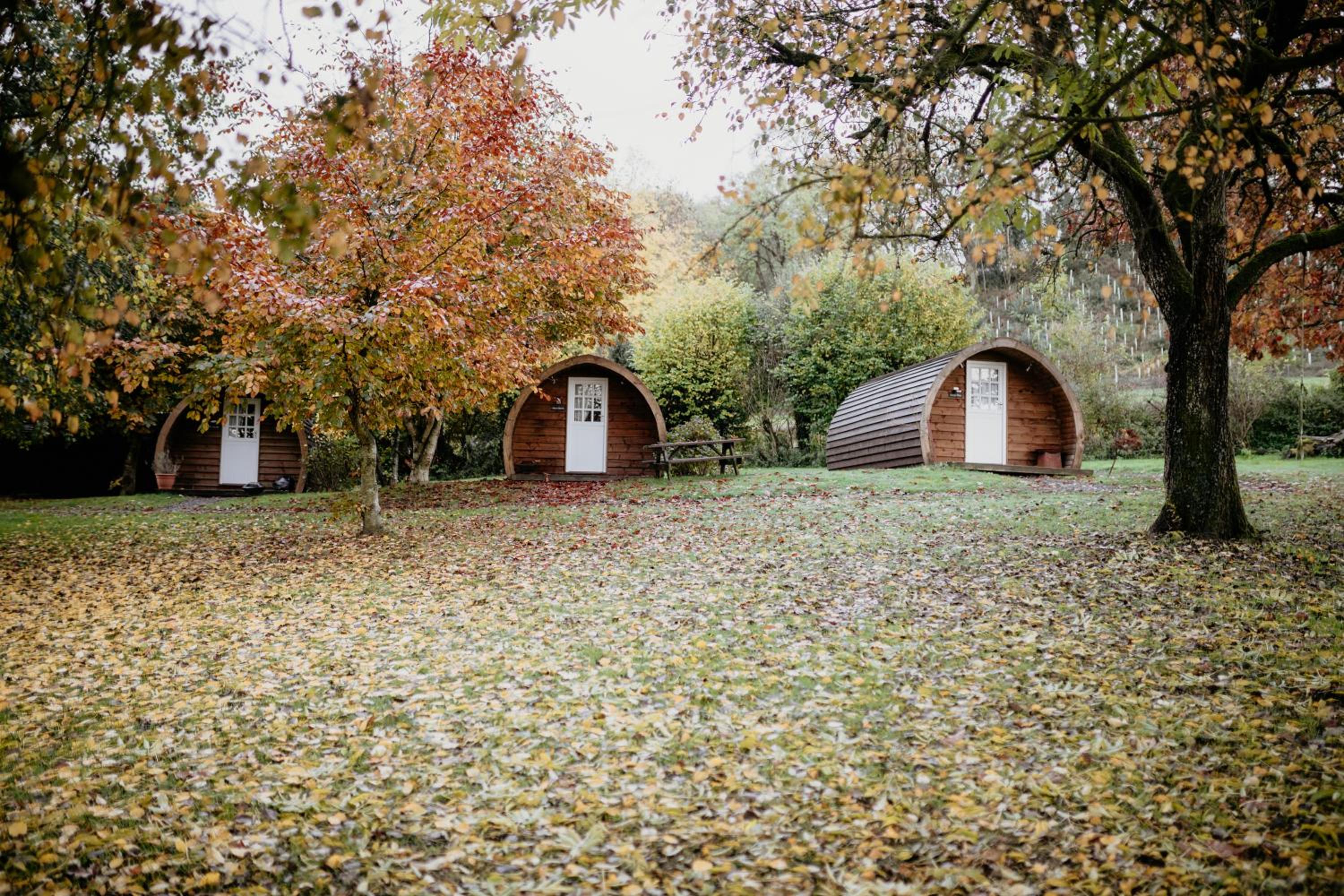 Willow Glamping Pod with Private Hot Tub - Photo 5
