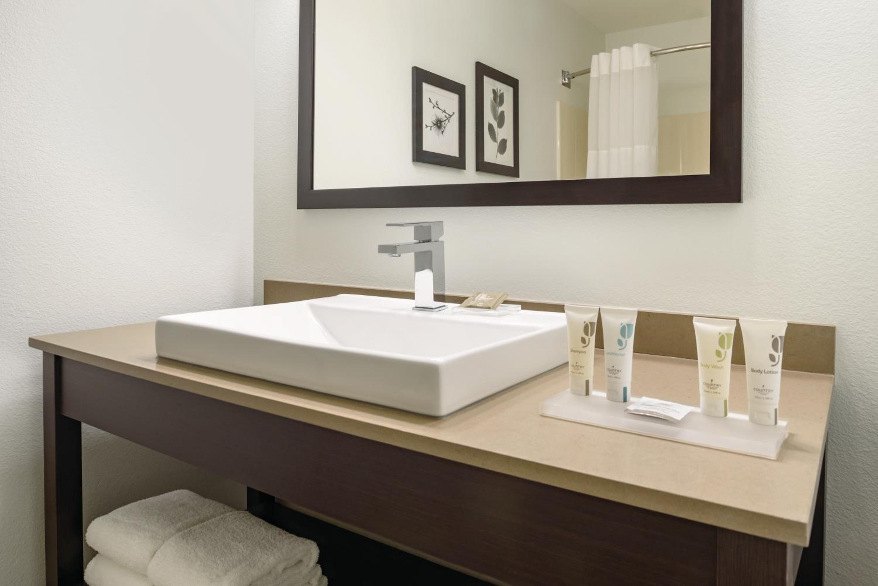 King Suite with Sofa Bed - Non-Smoking - Photo 5