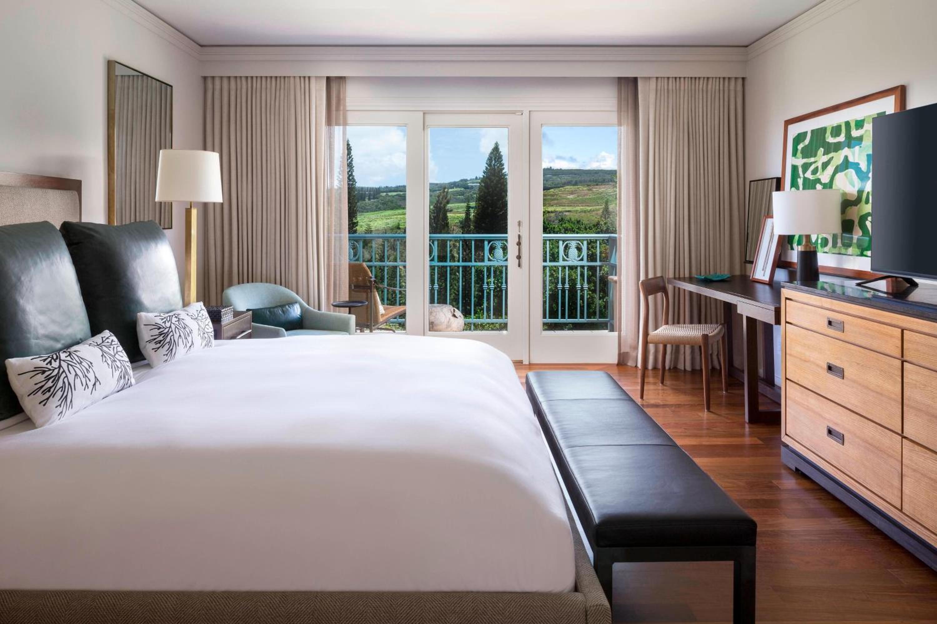 Deluxe King or Queen Room - Photo 3