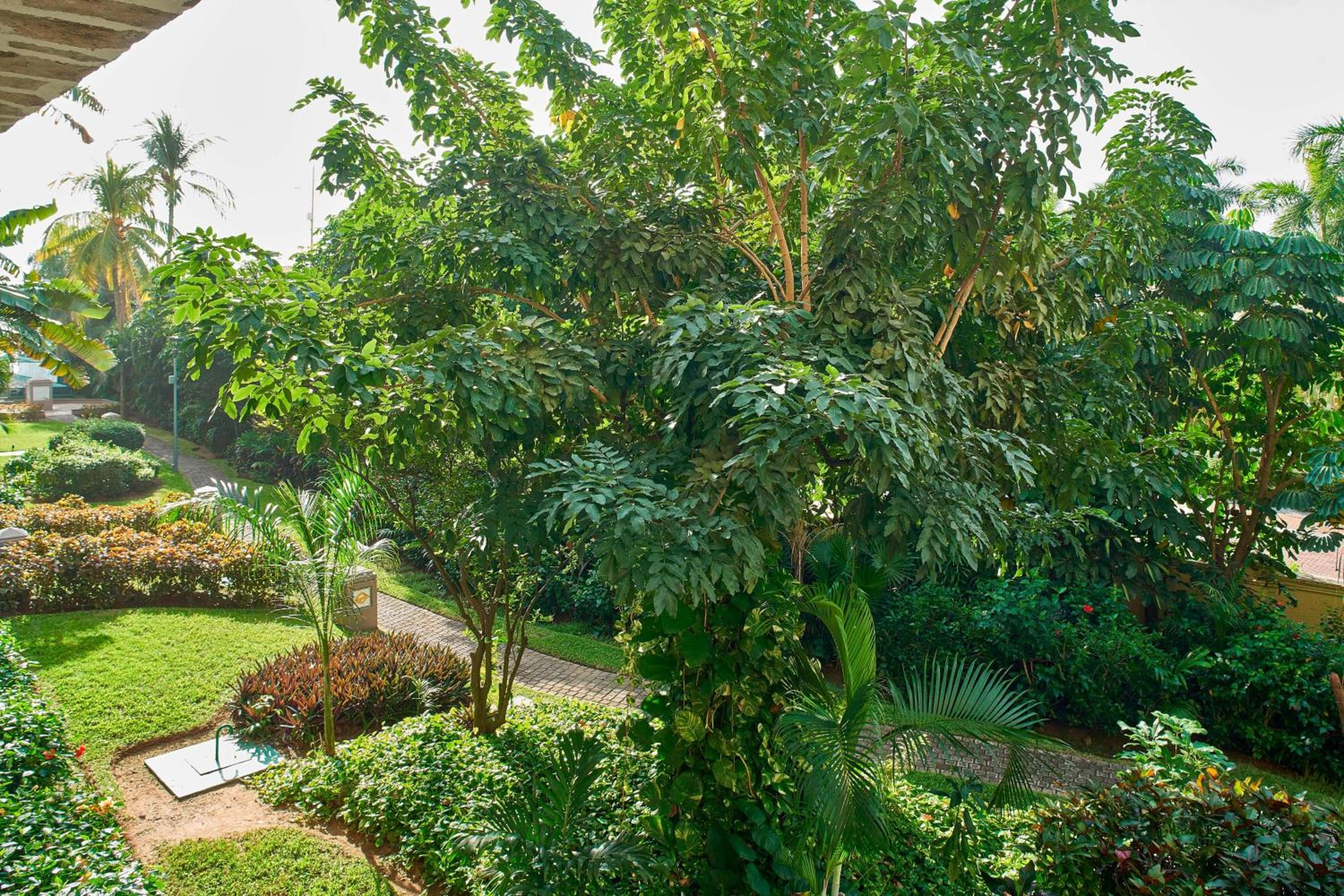 Garden View, Guest room, 1 king - Photo 5