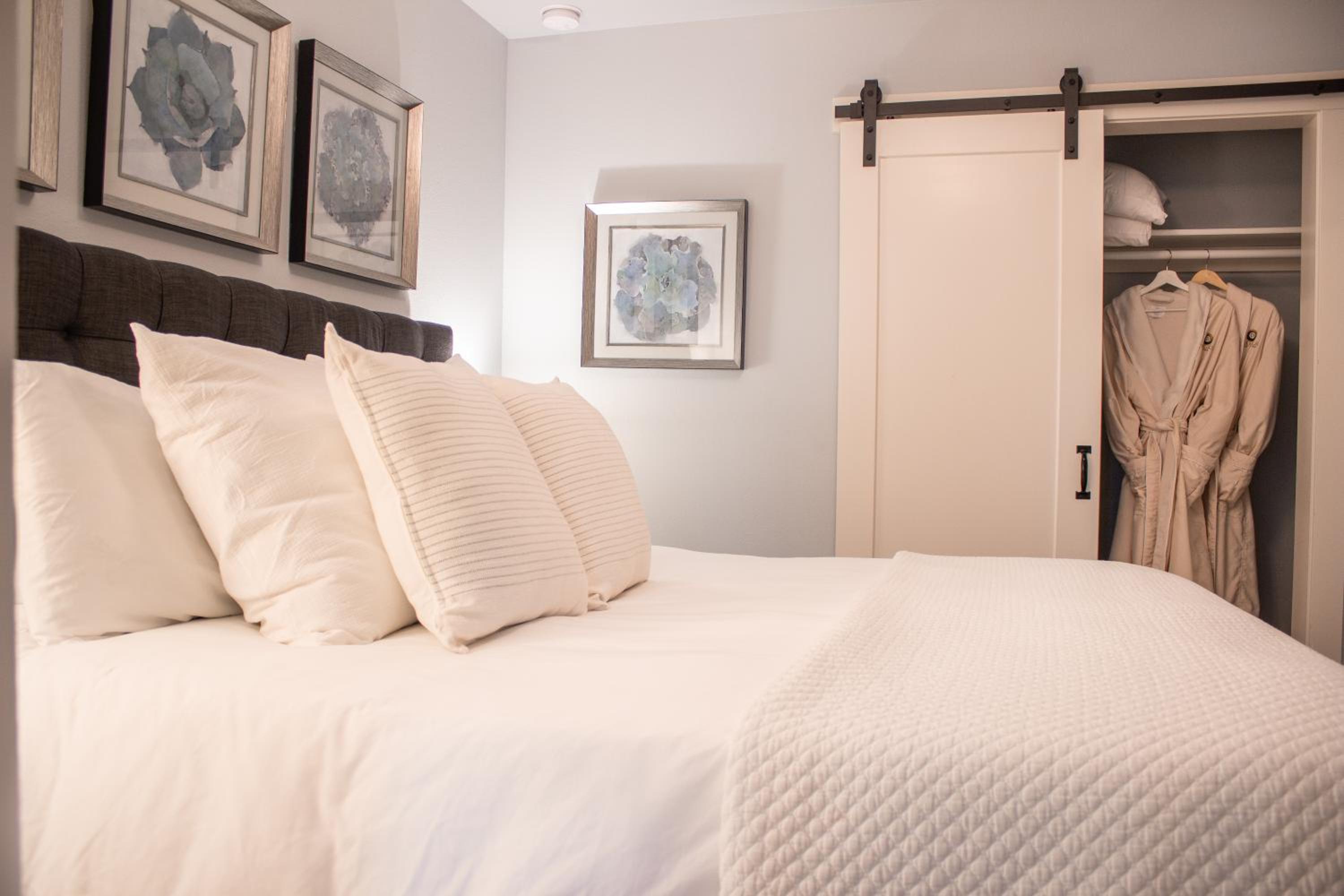 Deluxe King Suite