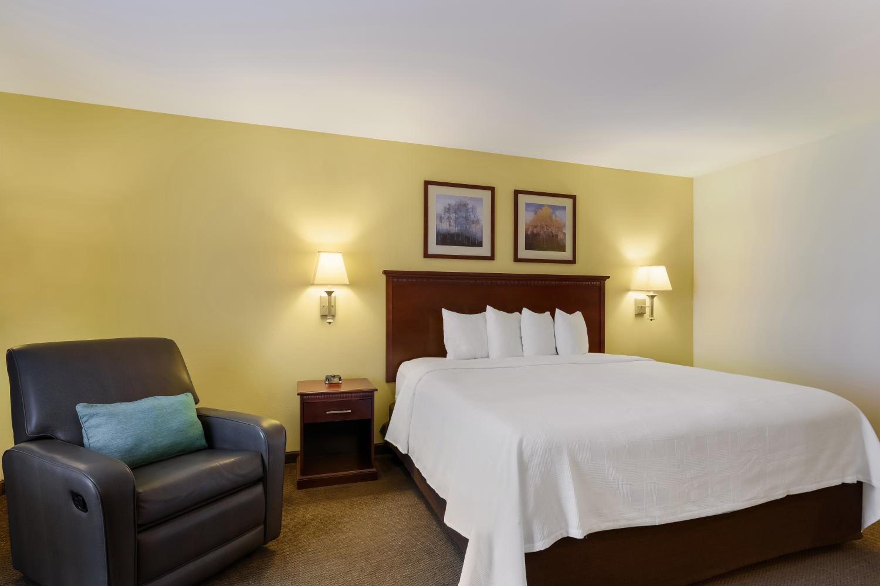 Efficiency One Room Suite with Roll-In Shower - Disability Access/Non Smoking photo 1