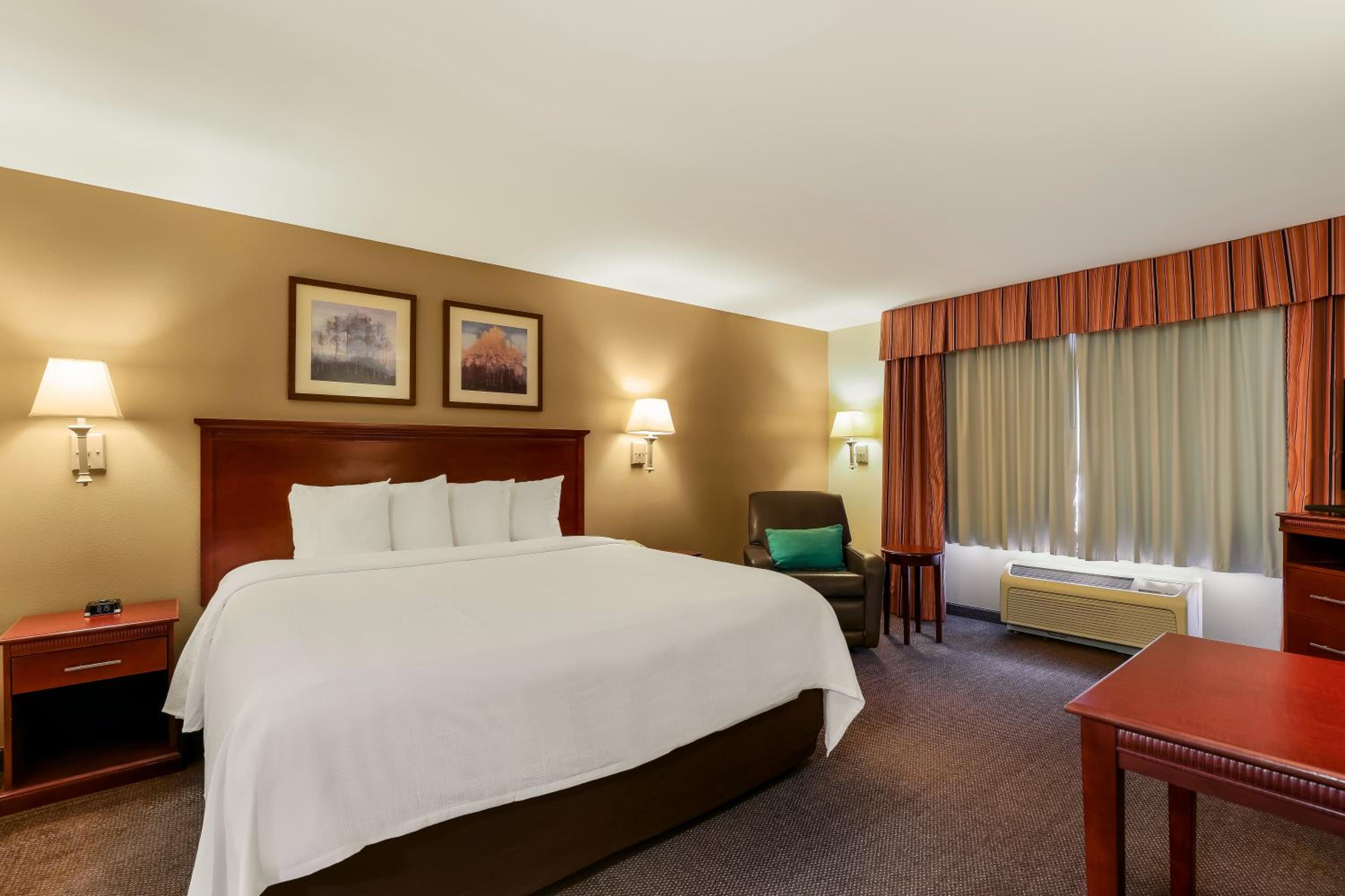Efficiency One Room King Suite - Non Smoking - Photo 1