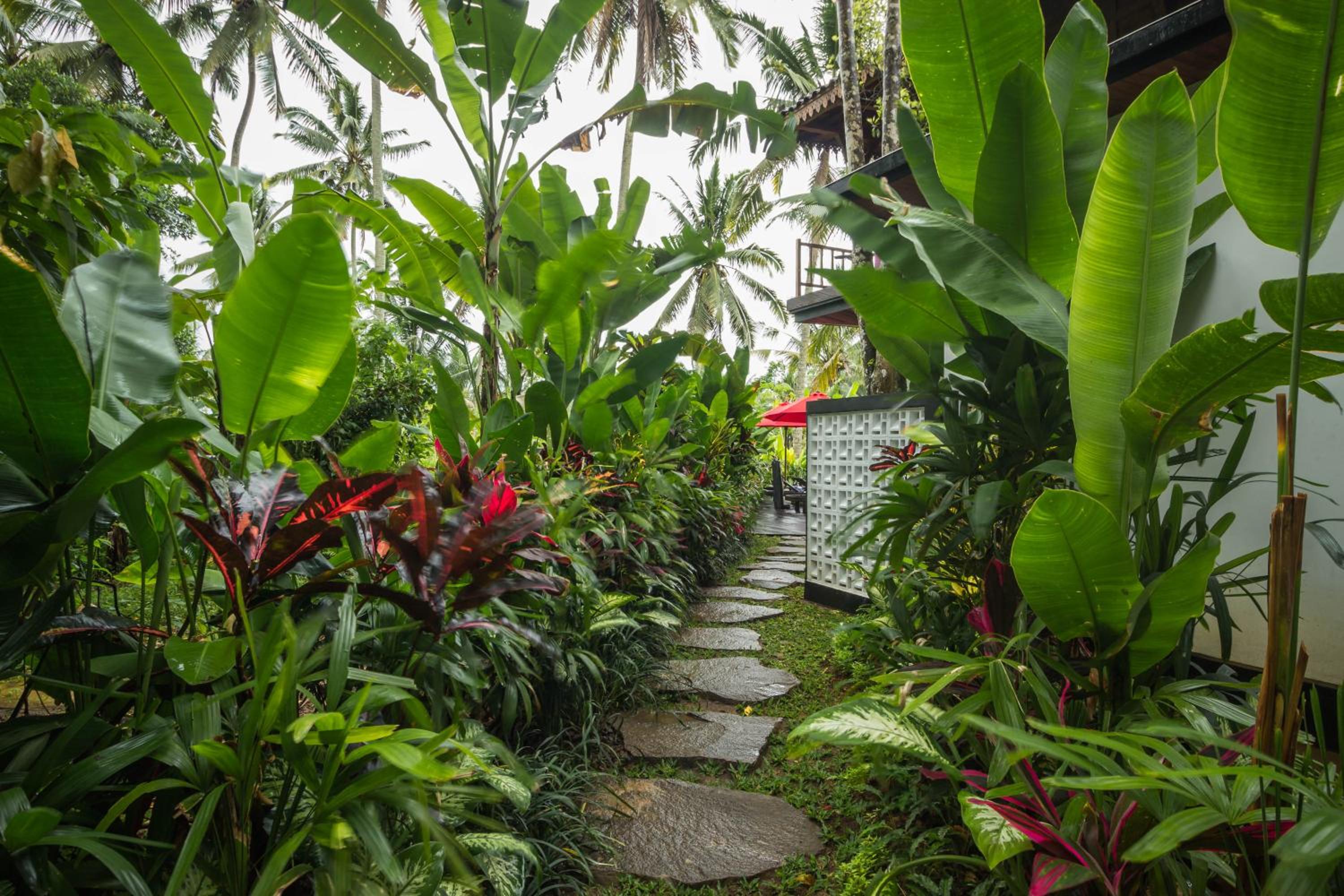 Akasha Villa - Photo 22