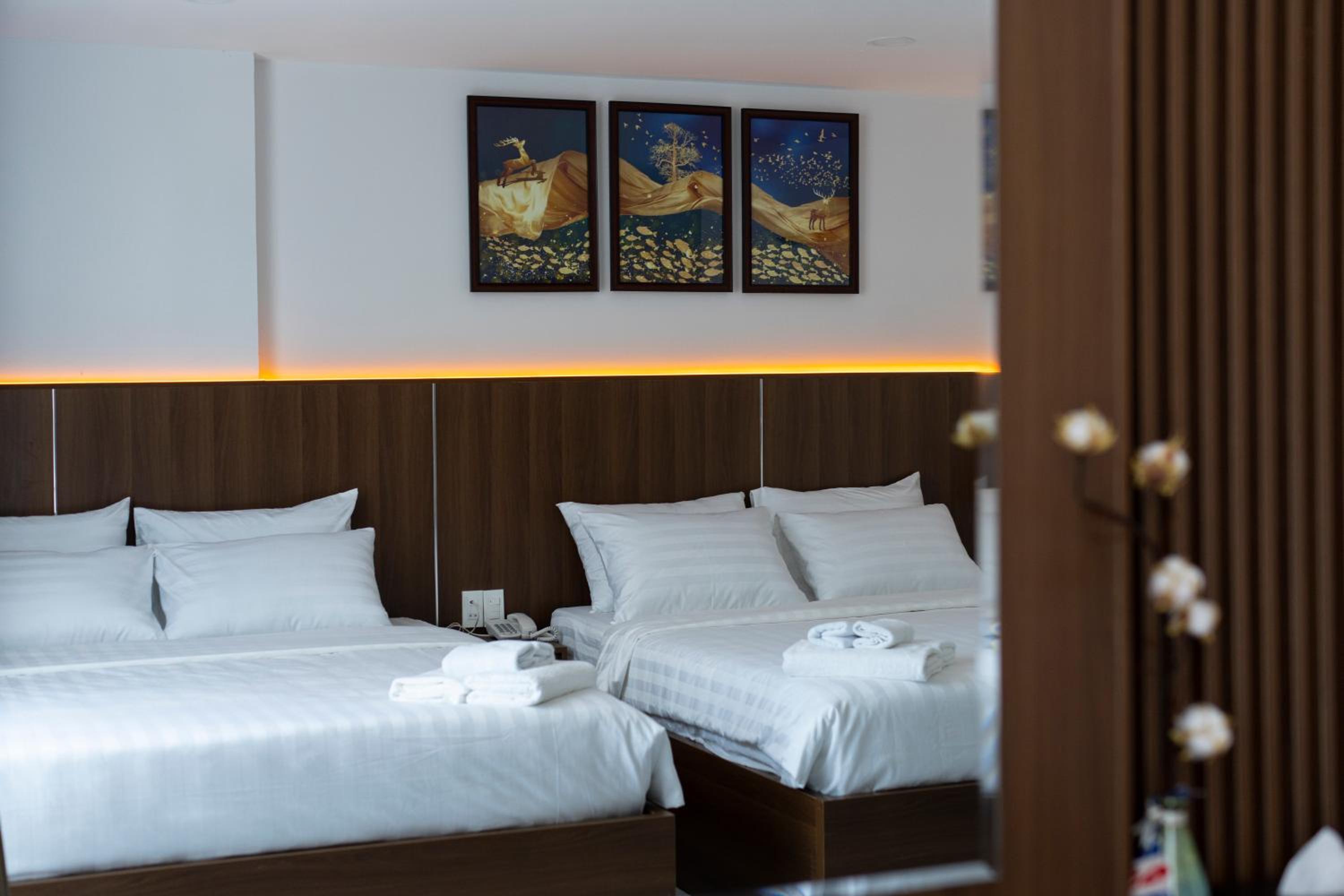 Deluxe Double Room photo 2