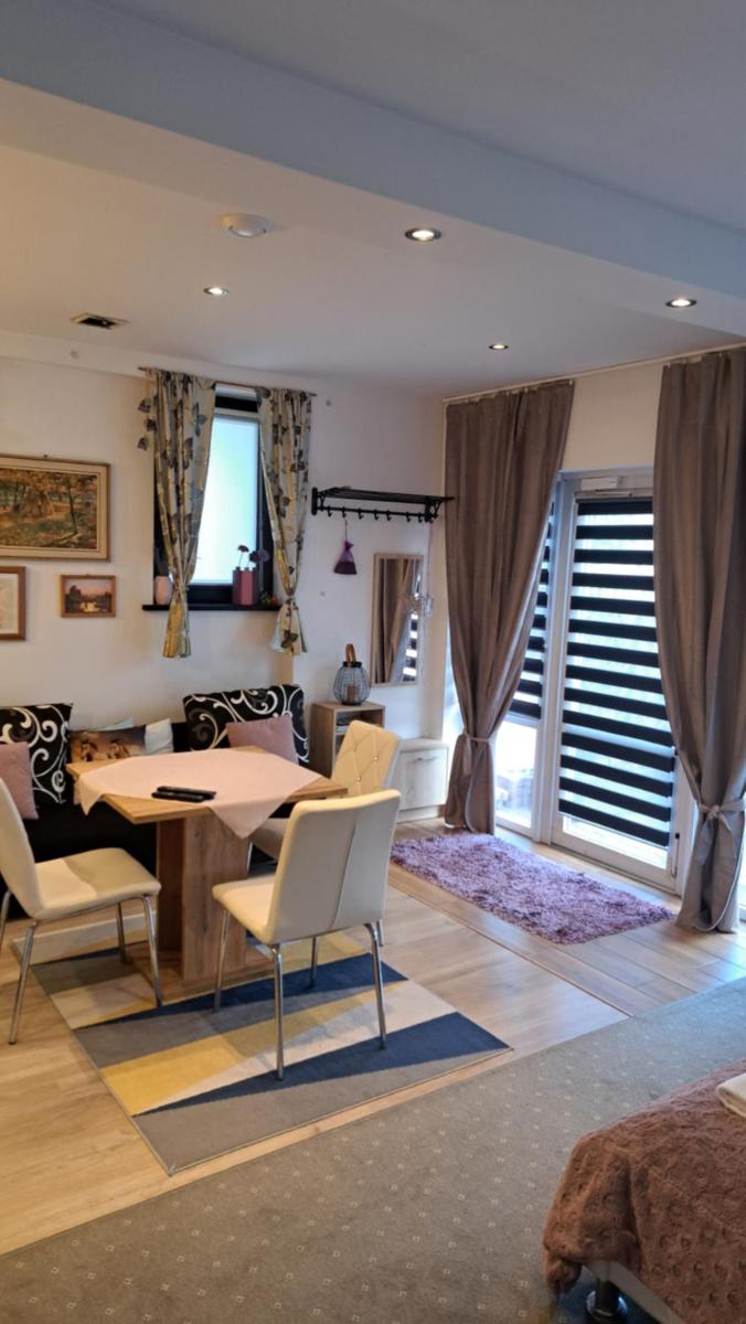 Studio with Terrace photo 3