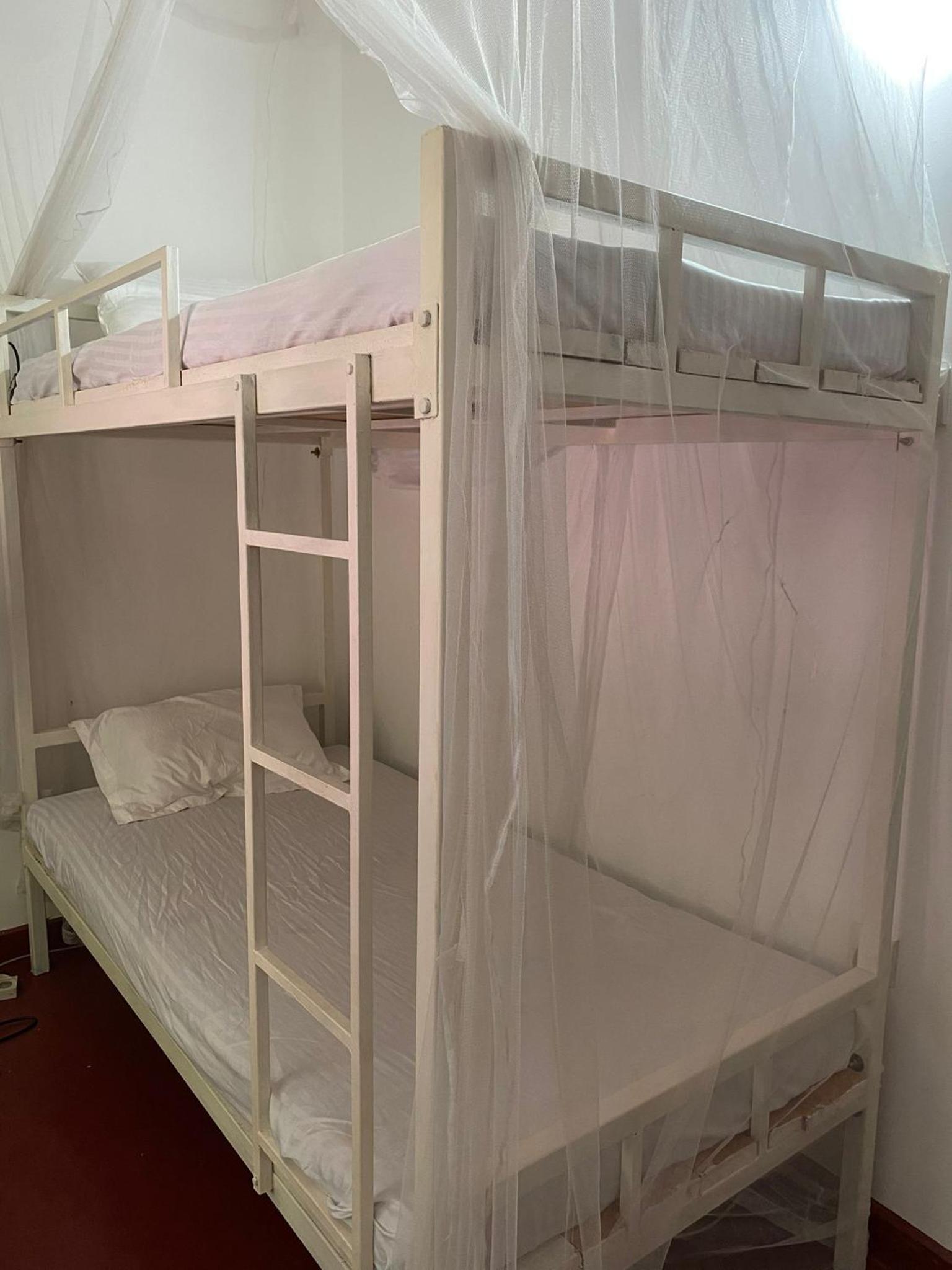 Bunk Bed in Mixed Dormitory Room photo 3
