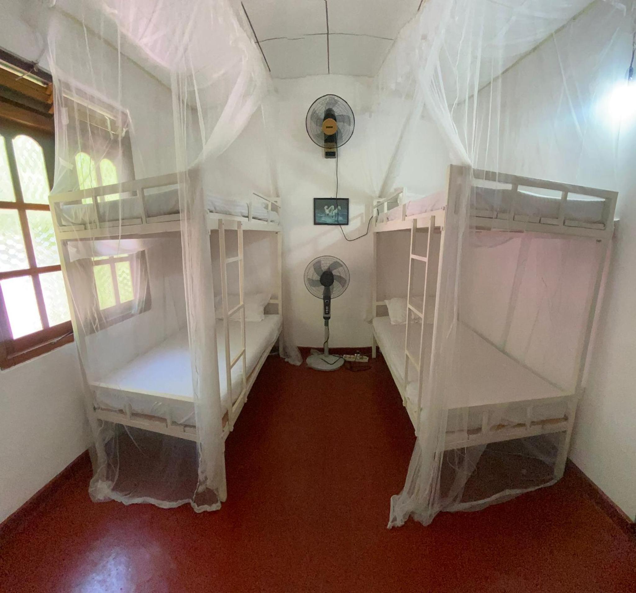 Bunk Bed in Mixed Dormitory Room photo 1