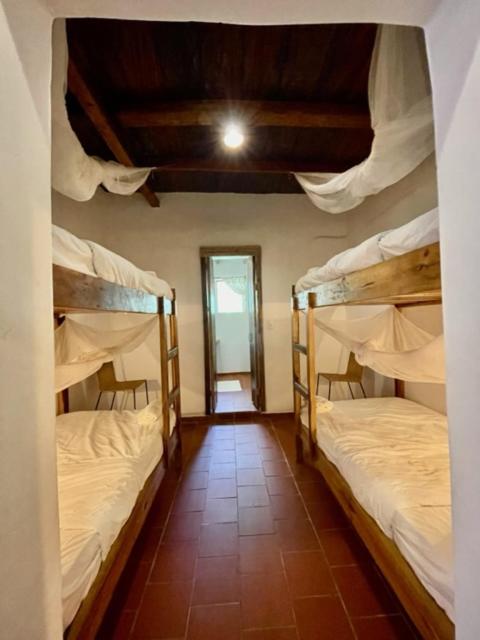Single Bed in 4-Bed Dormitory Room