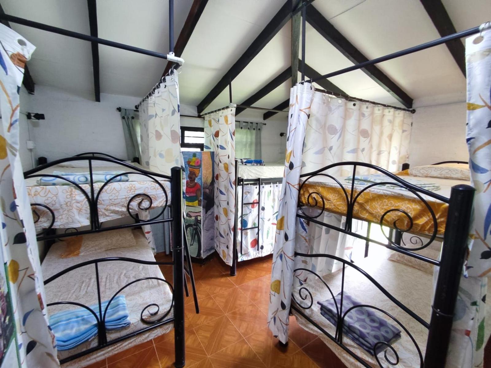 Single Bed In 10-Bed Dormitory Room