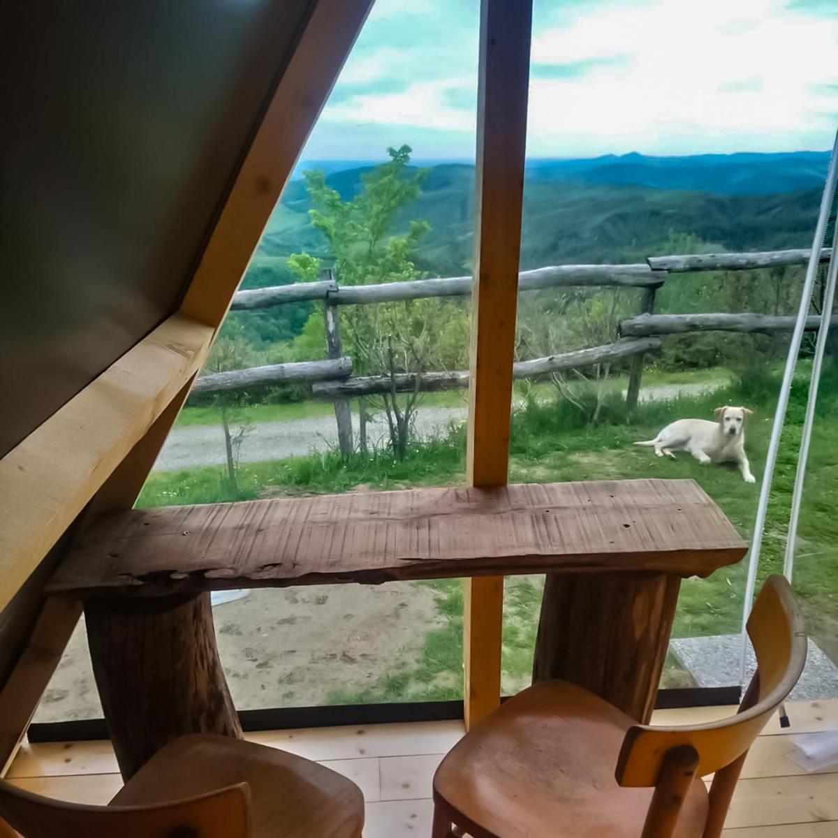 Double Room with Mountain View - Photo 17