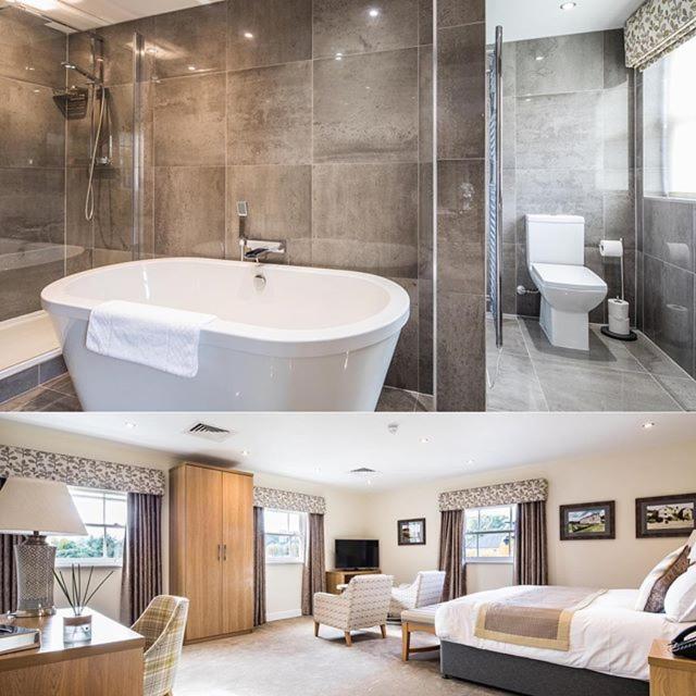 Deluxe Suite - Photo 12