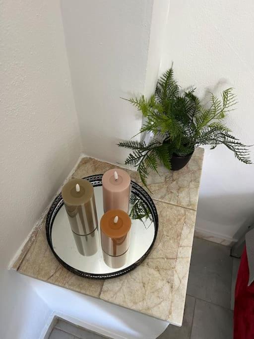 One-Bedroom Apartment photo 3
