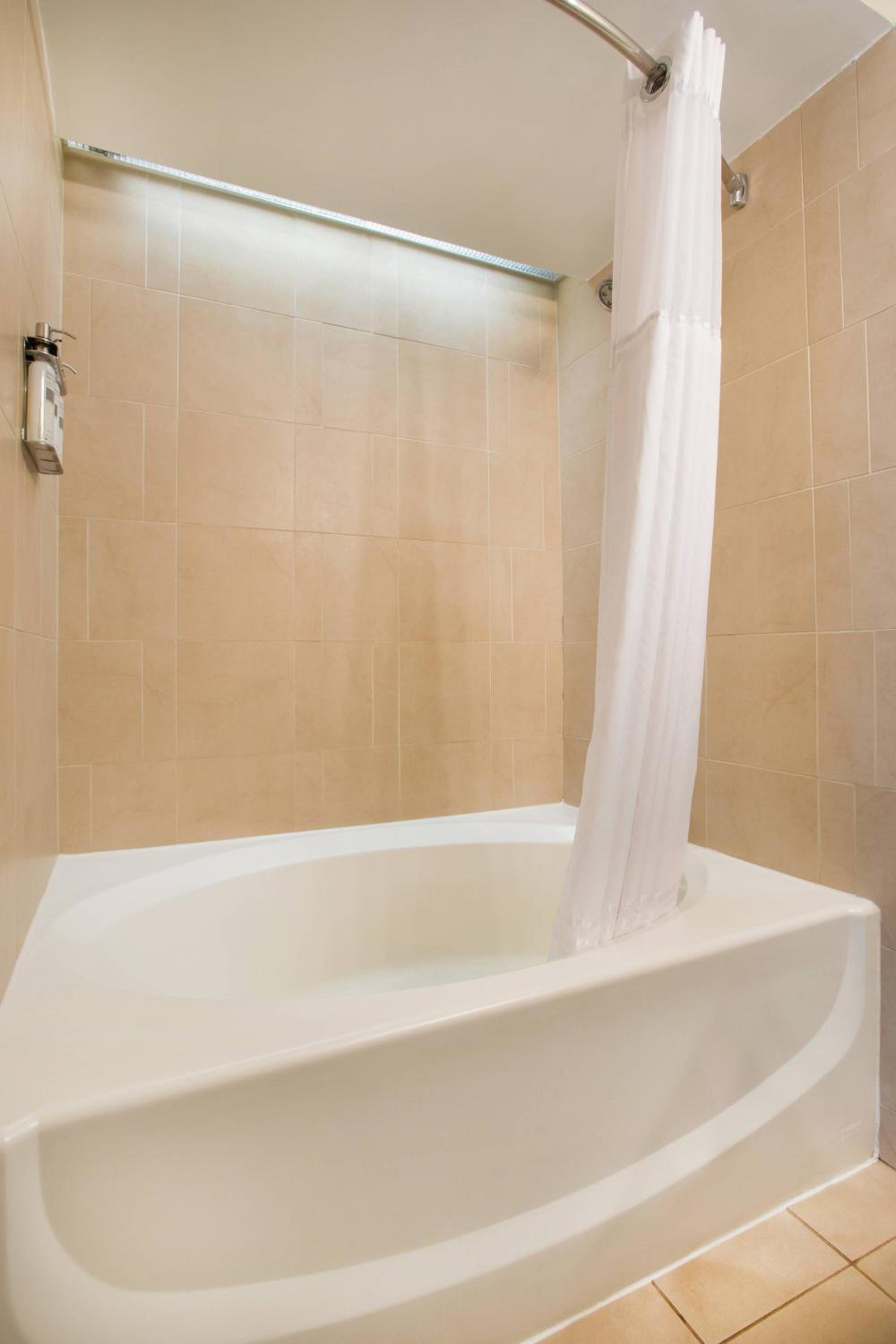 One-Bedroom Suite with One King Bed - Photo 3