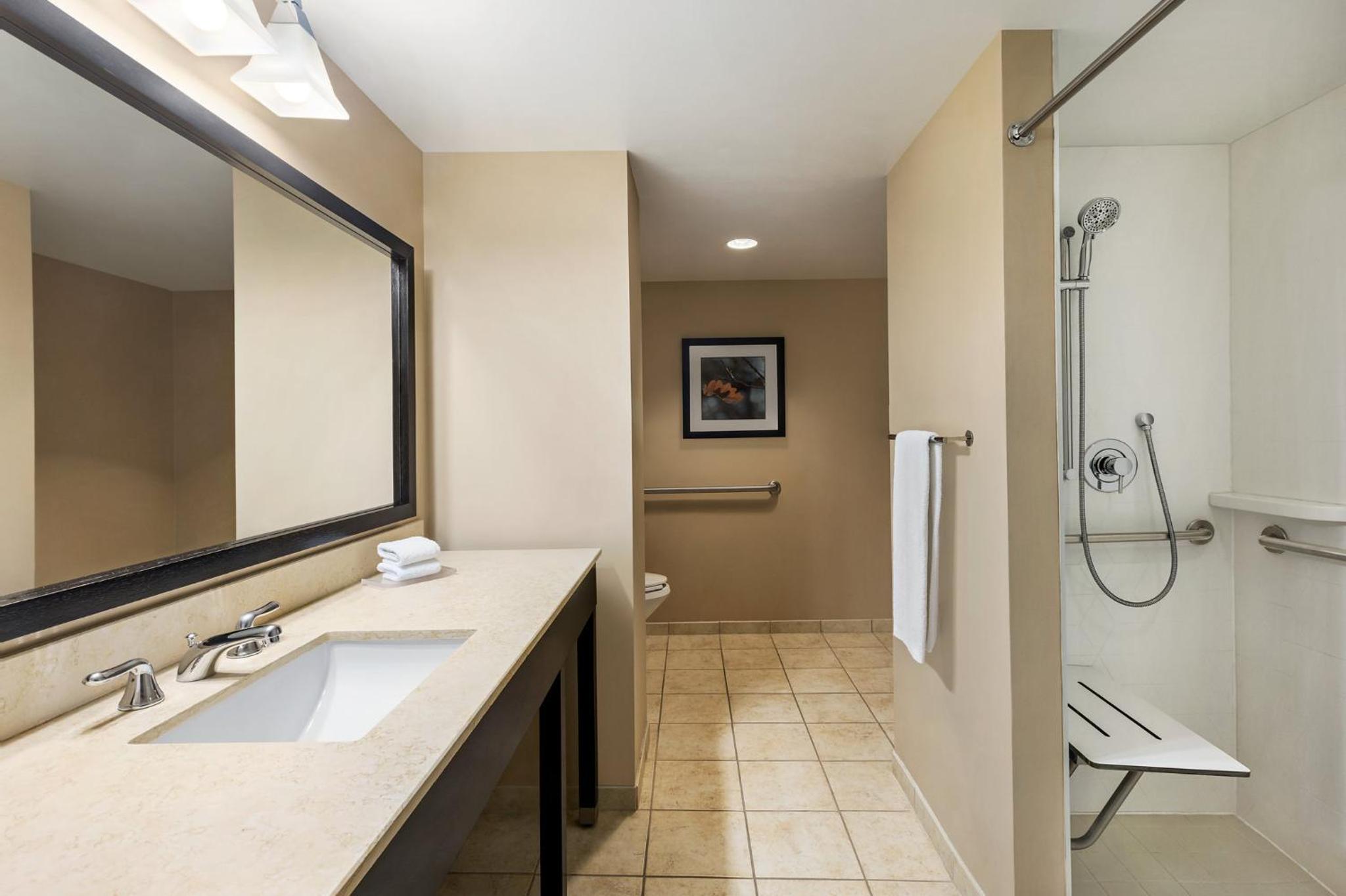 Standard King Room with Mobility Accessible Roll-In Shower - Photo 4