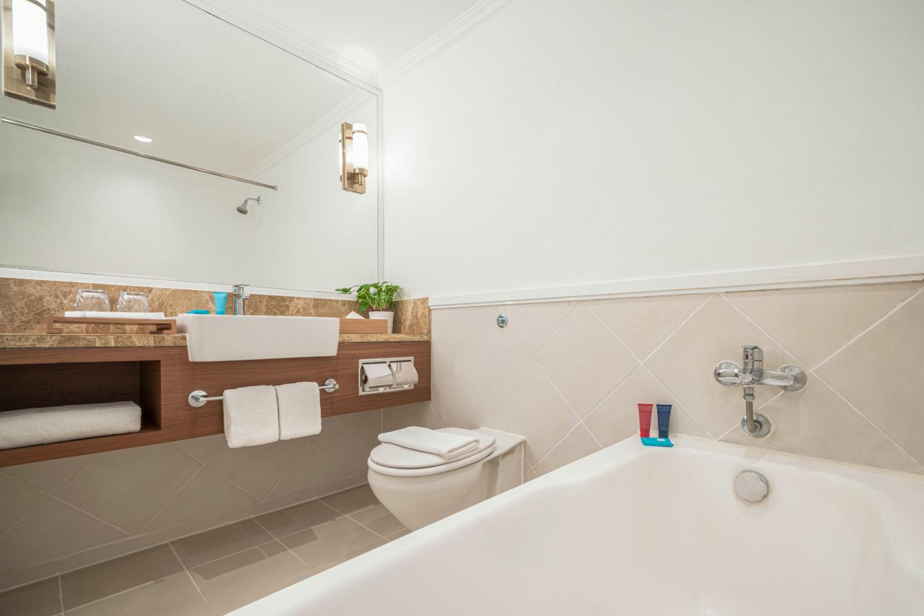 Superior Double or Twin Room photo 3