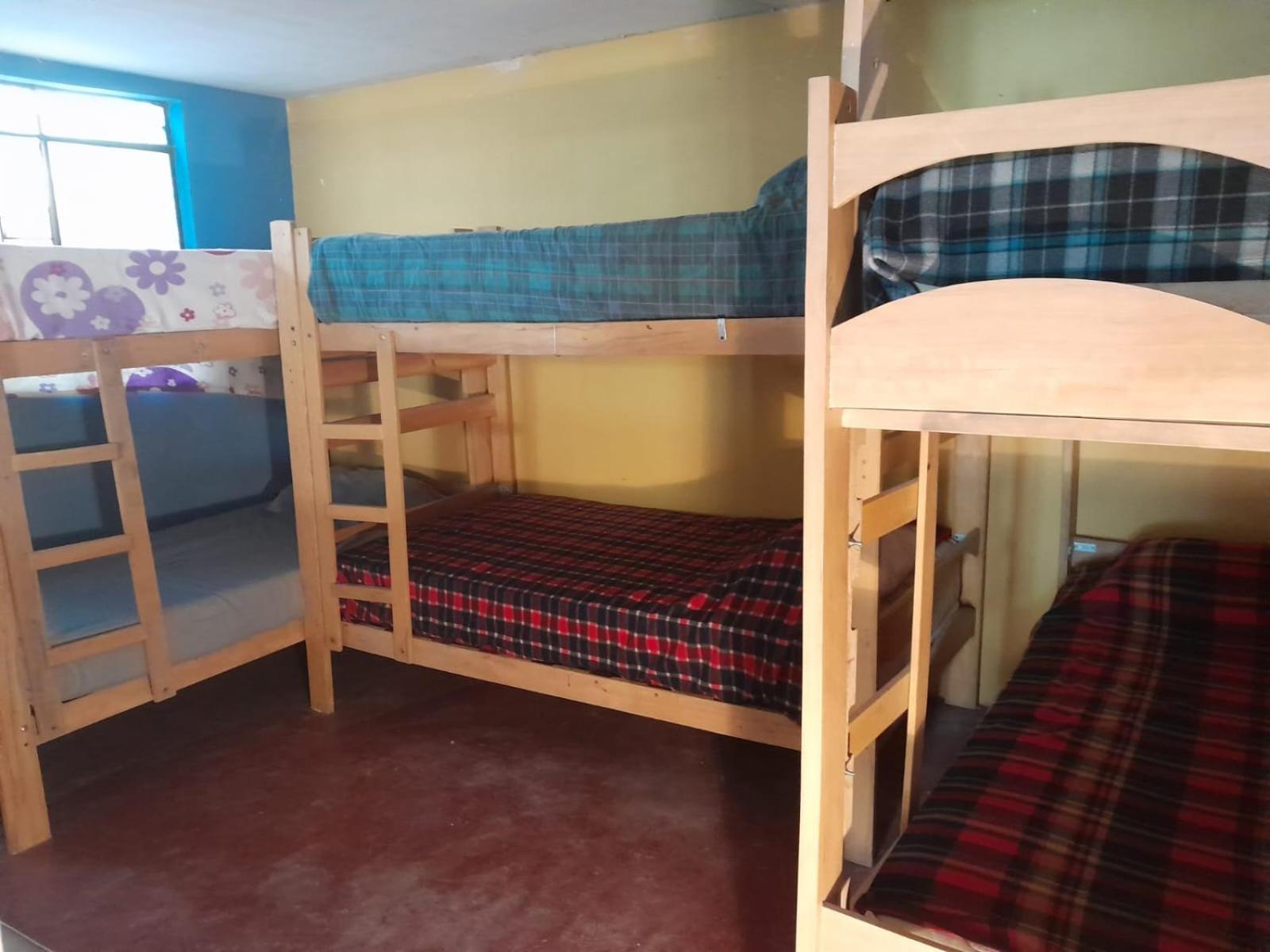 Bunk Bed in Mixed Dormitory Room photo 1