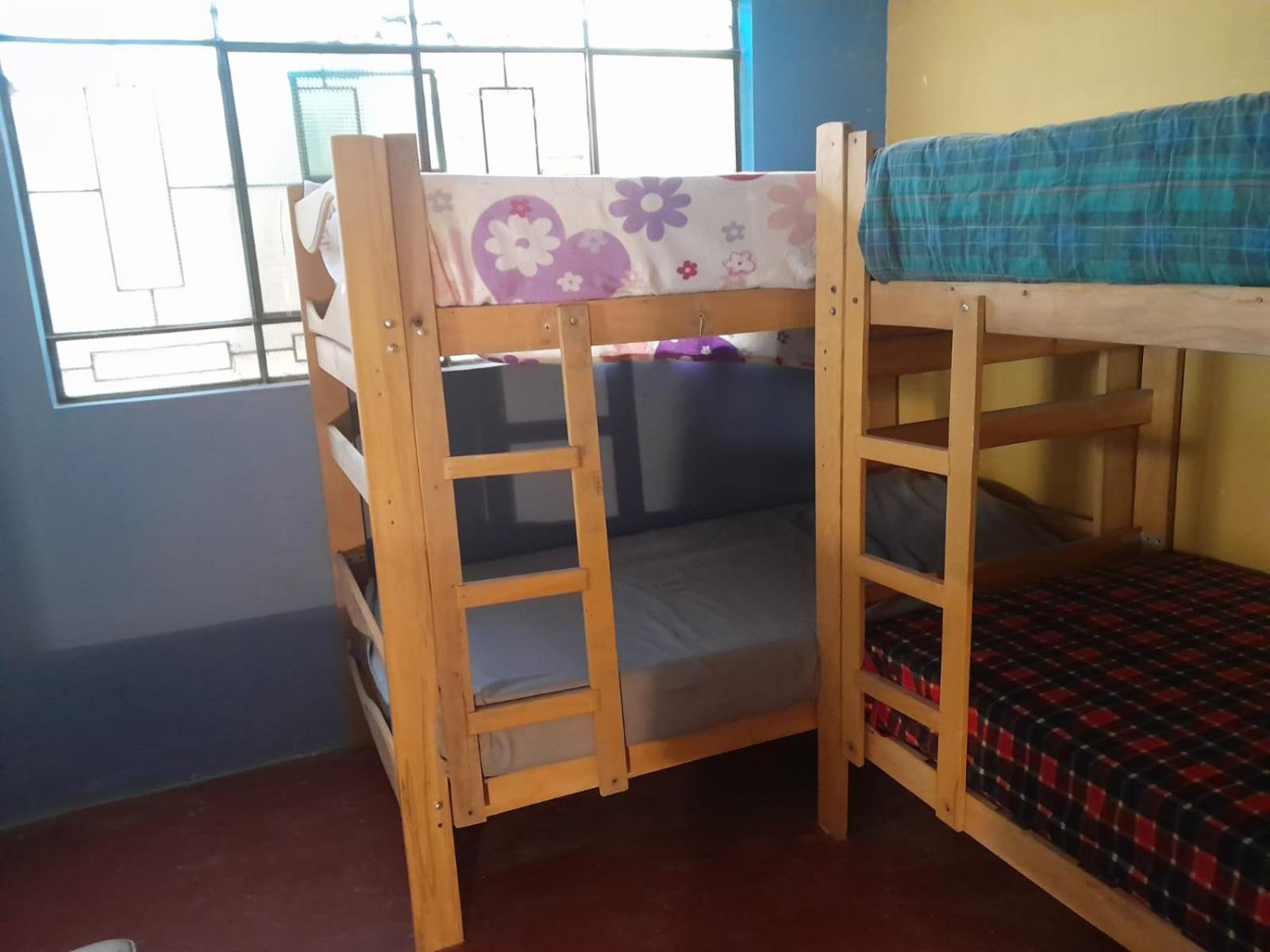 Bunk Bed in Mixed Dormitory Room photo 3