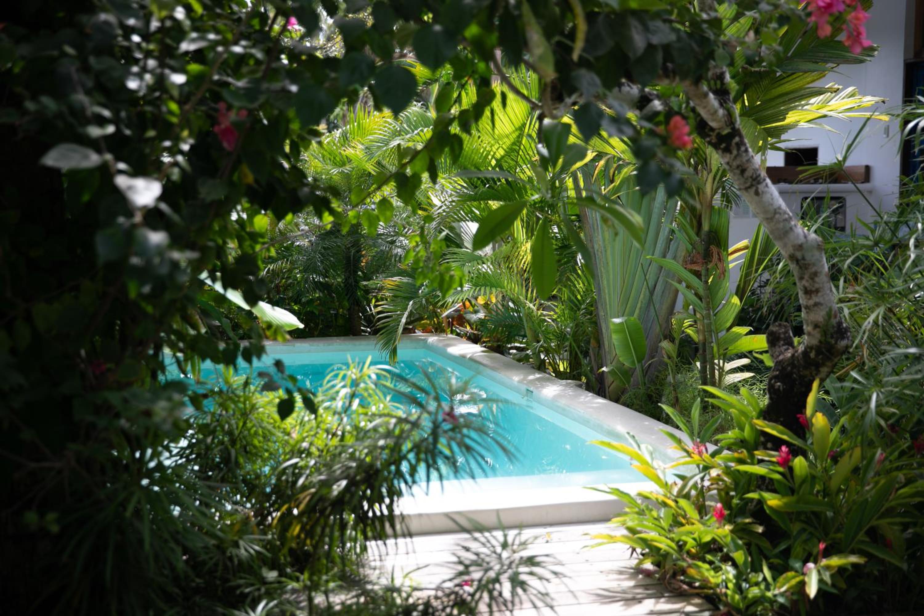Quadruple Room with Garden View photo 2